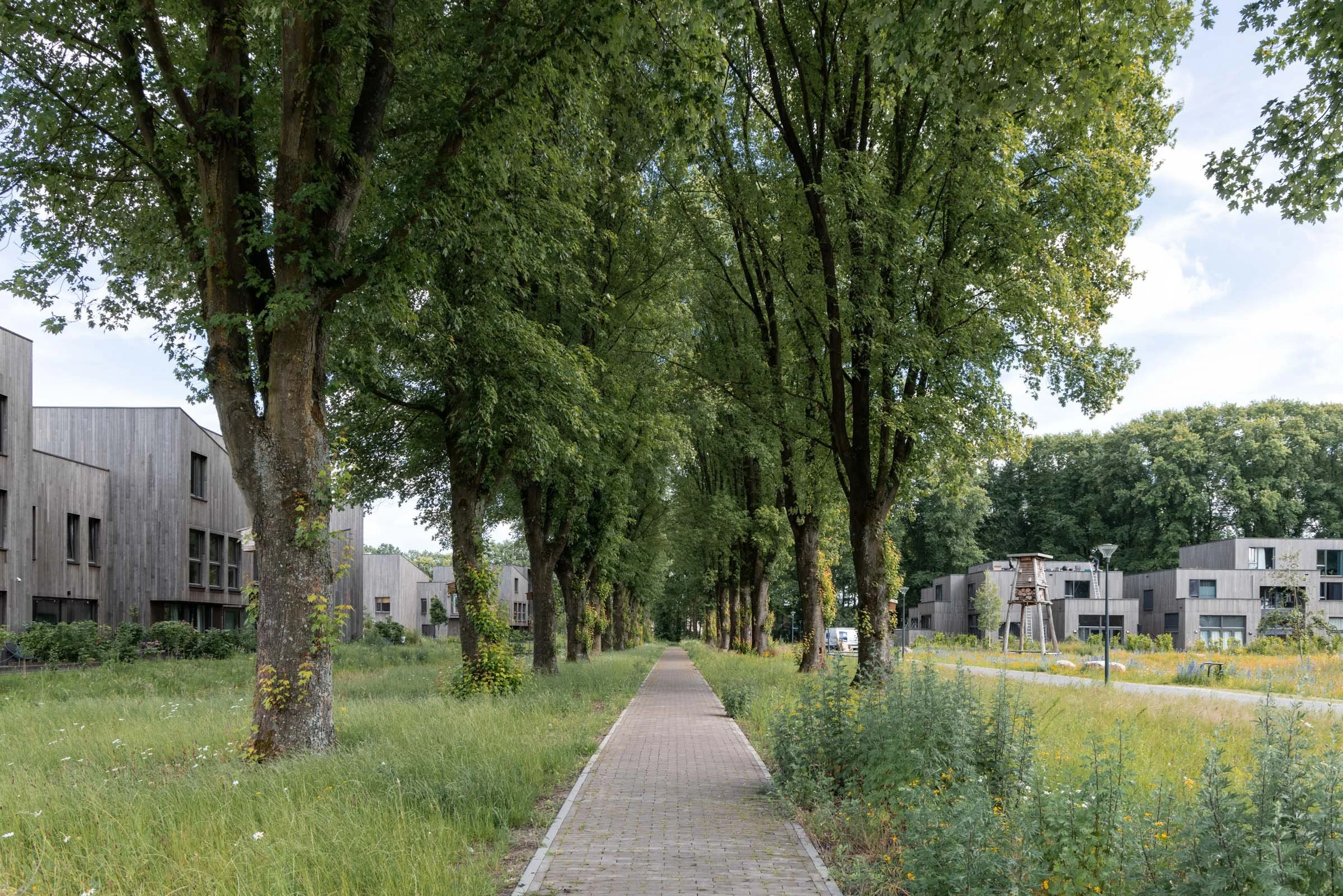 Bosrijk-Mikkel-Eye-4144.jpg