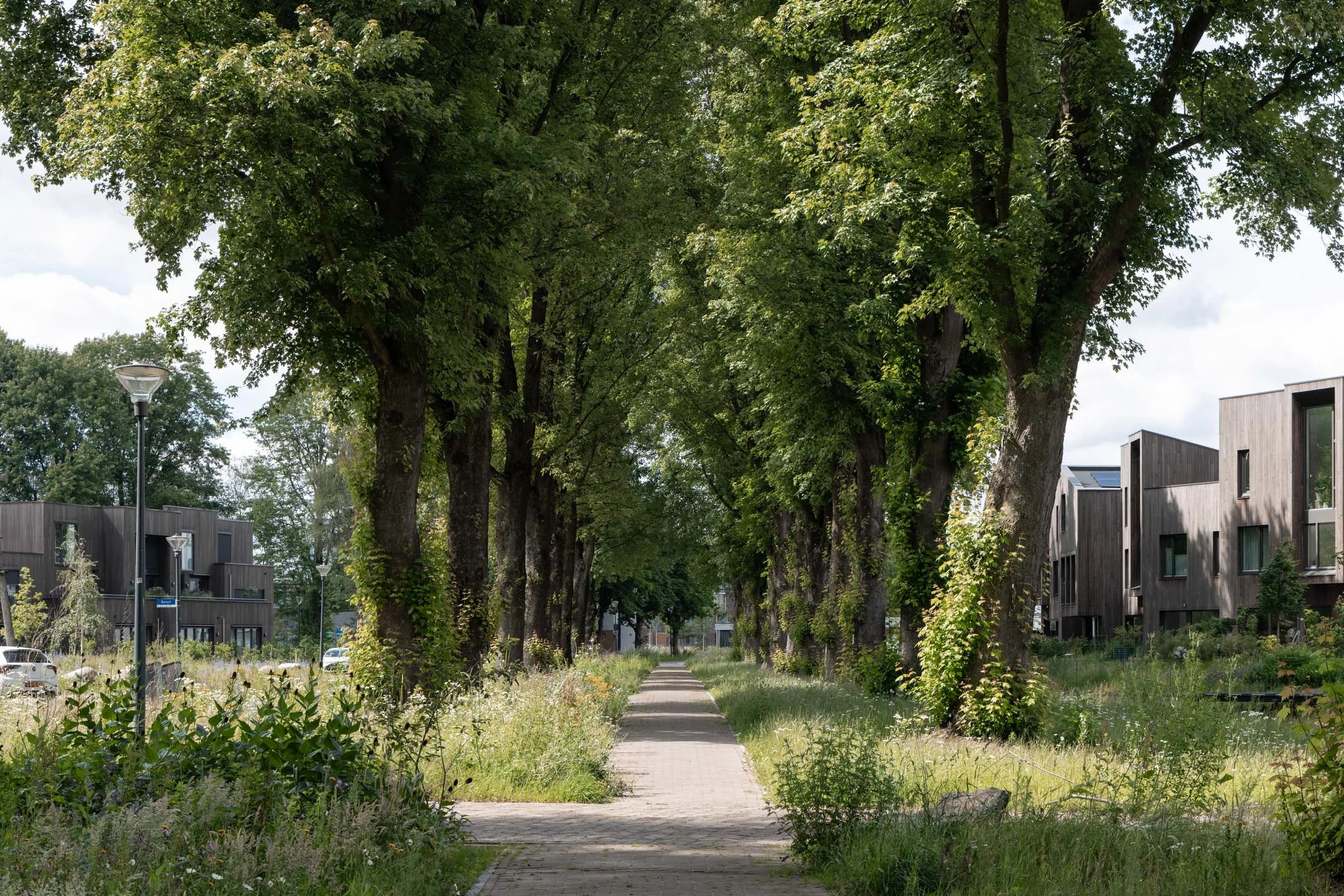 Bosrijk-Mikkel-Eye-3995.jpg