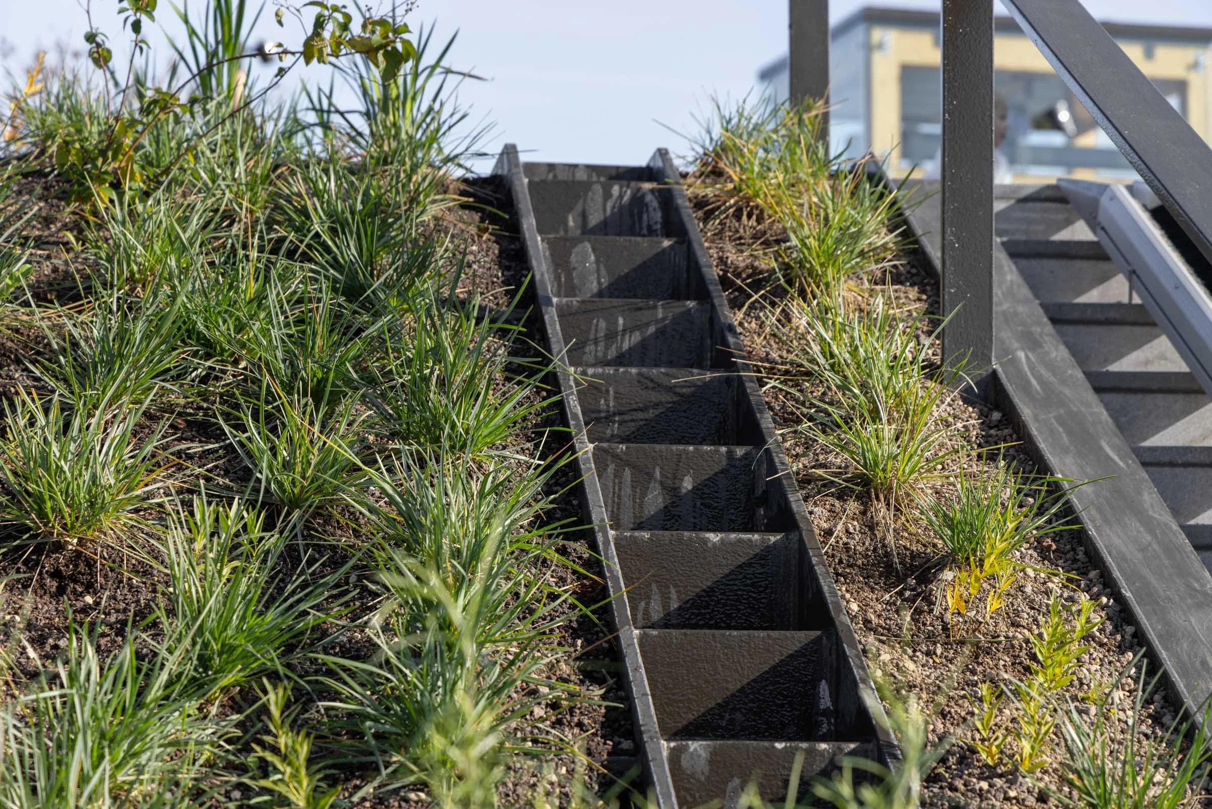 Passerelle Zwolle wooden bridge