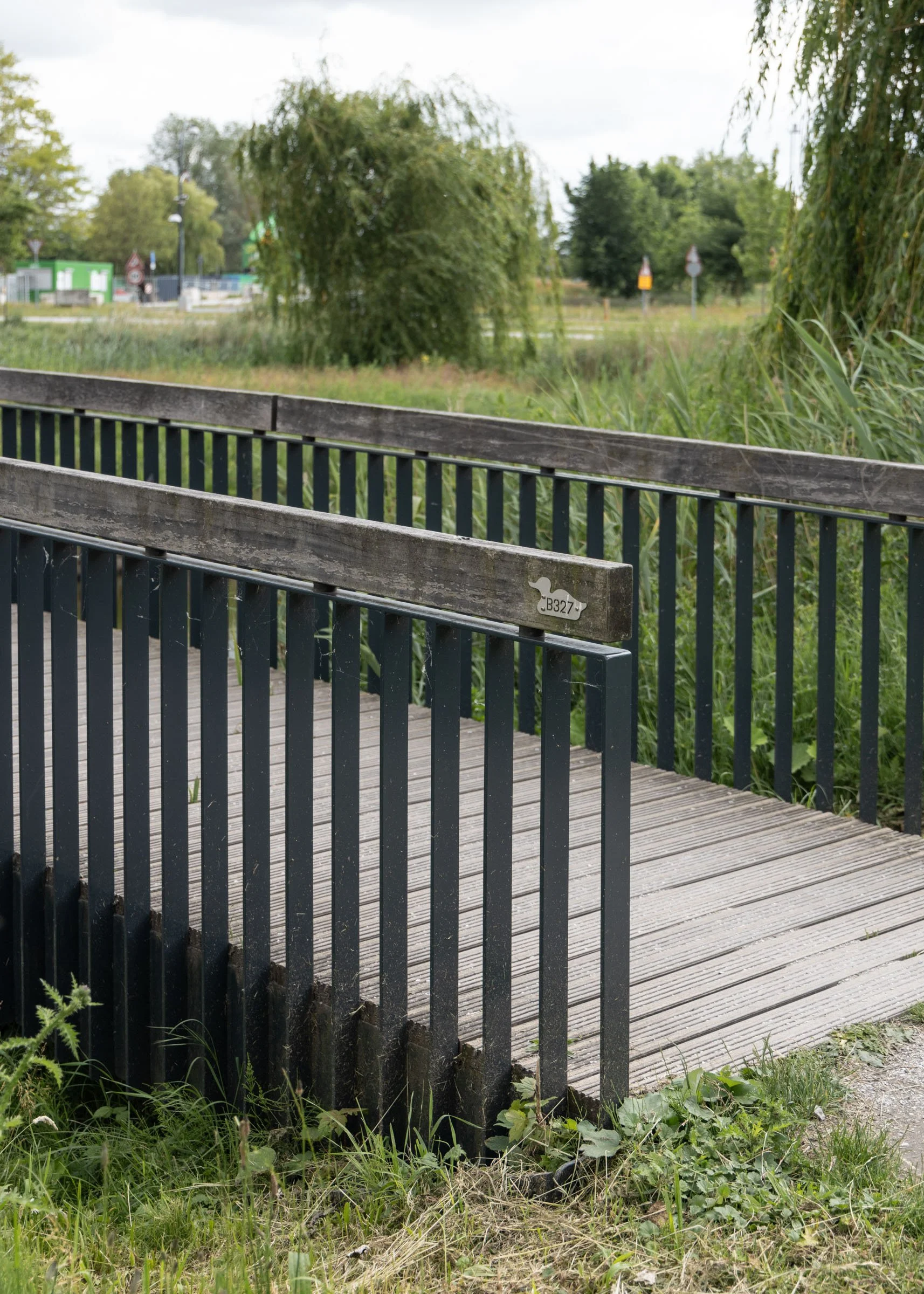 Therese-Schwartzepark-Mikkel-Eye-2185.jpg