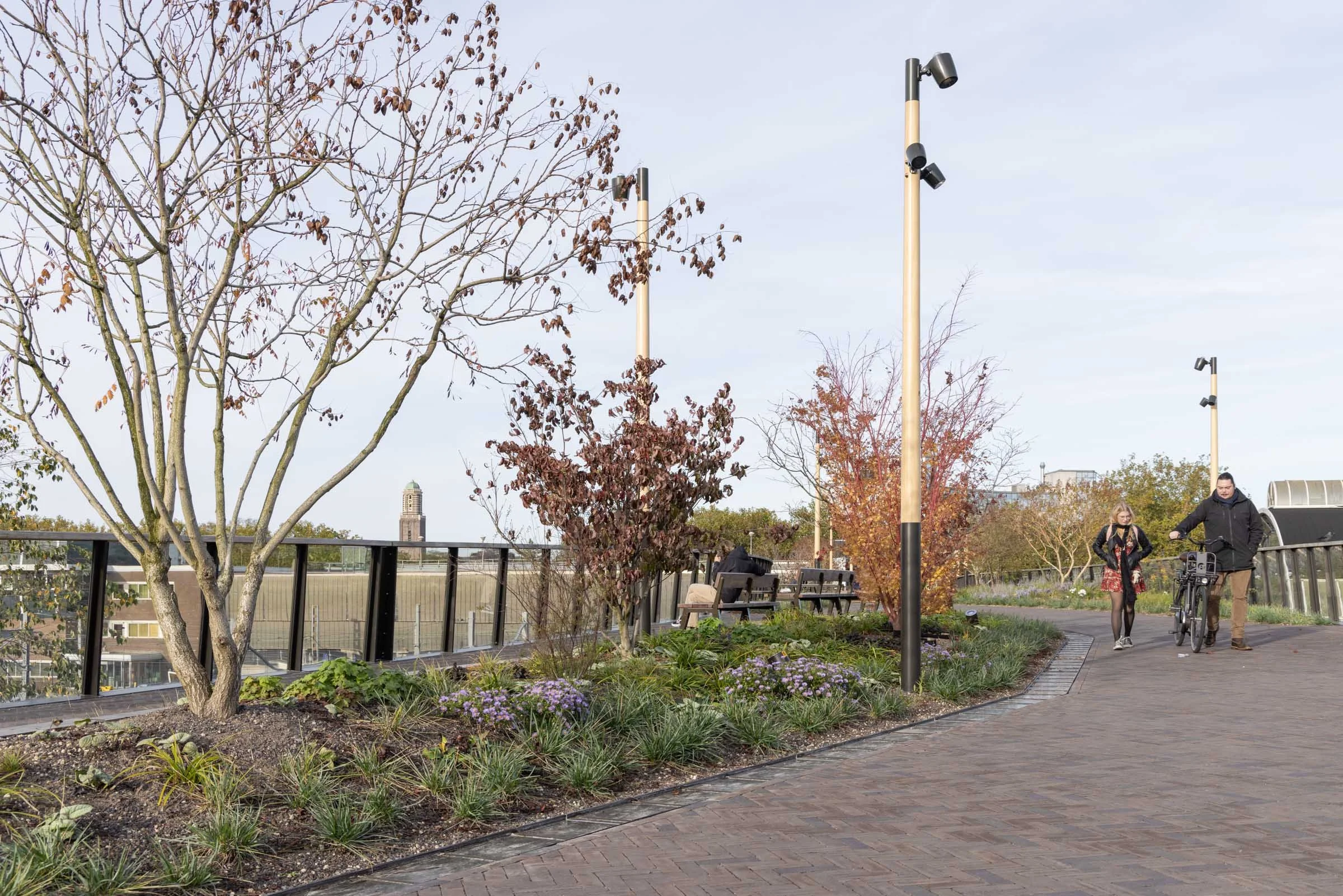 Passerelle Zwolle wooden bridge