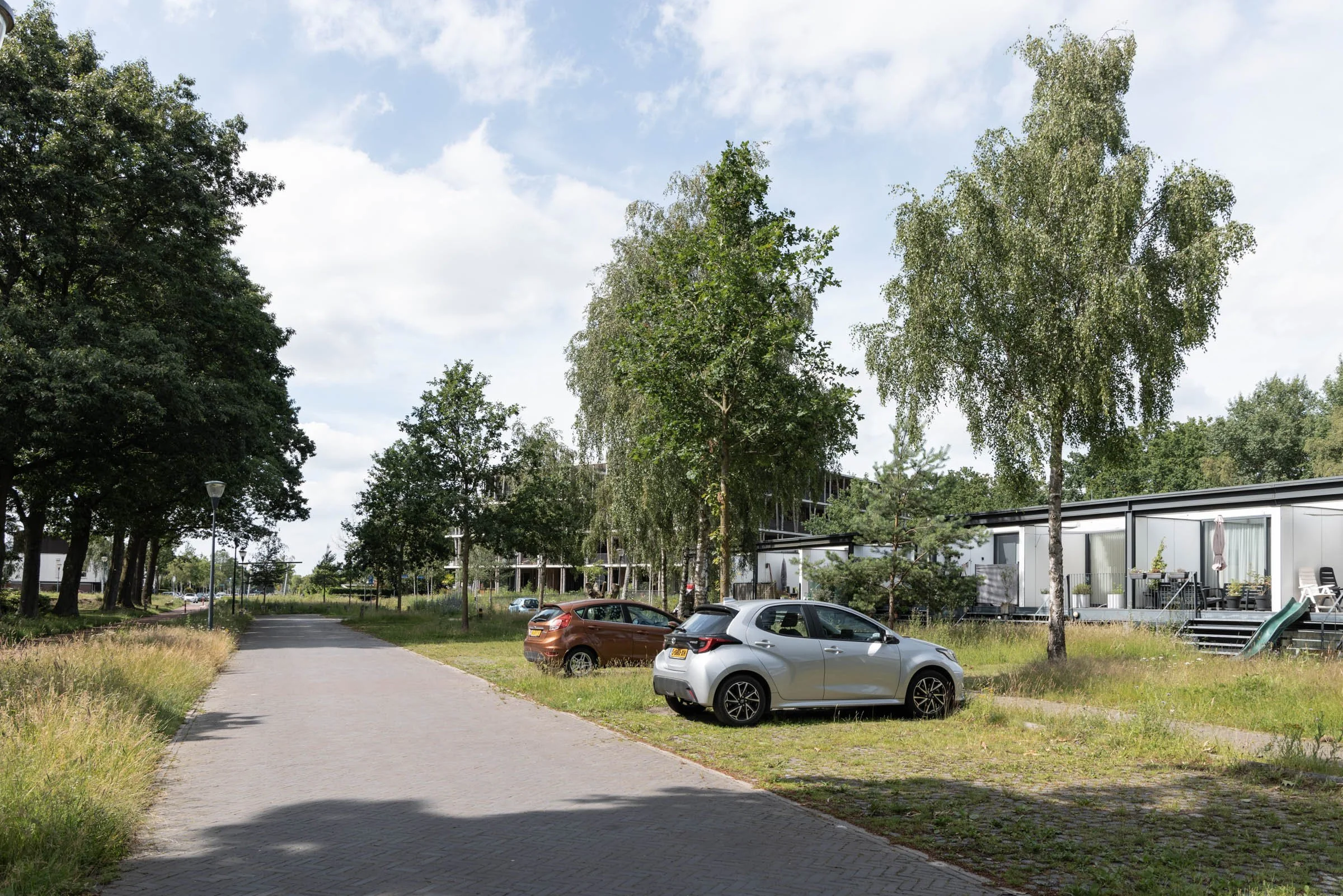 Bosrijk-Mikkel-Eye-4068.jpg