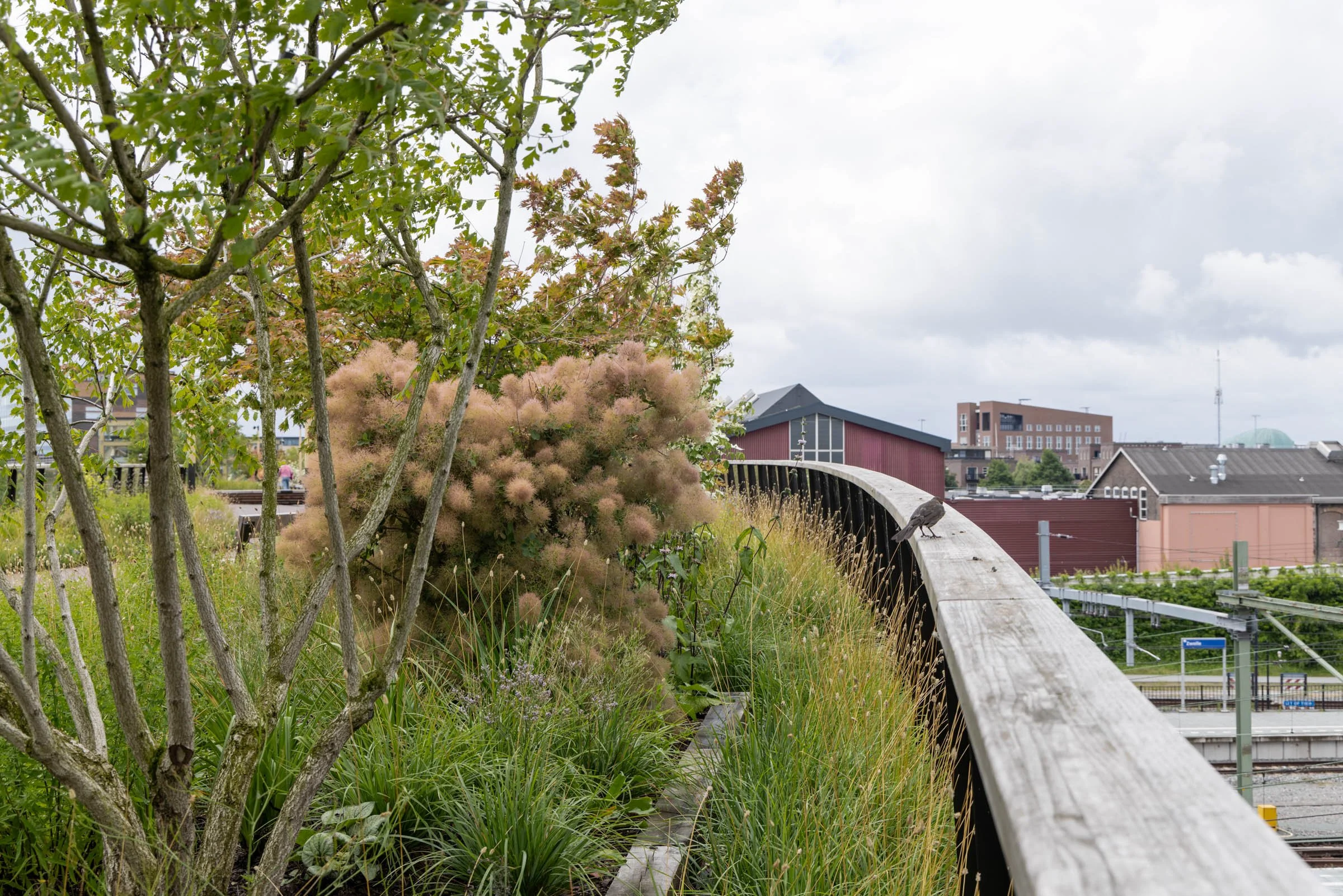 Passerelle-Zwolle-Mikkel-Eye-2640.jpg