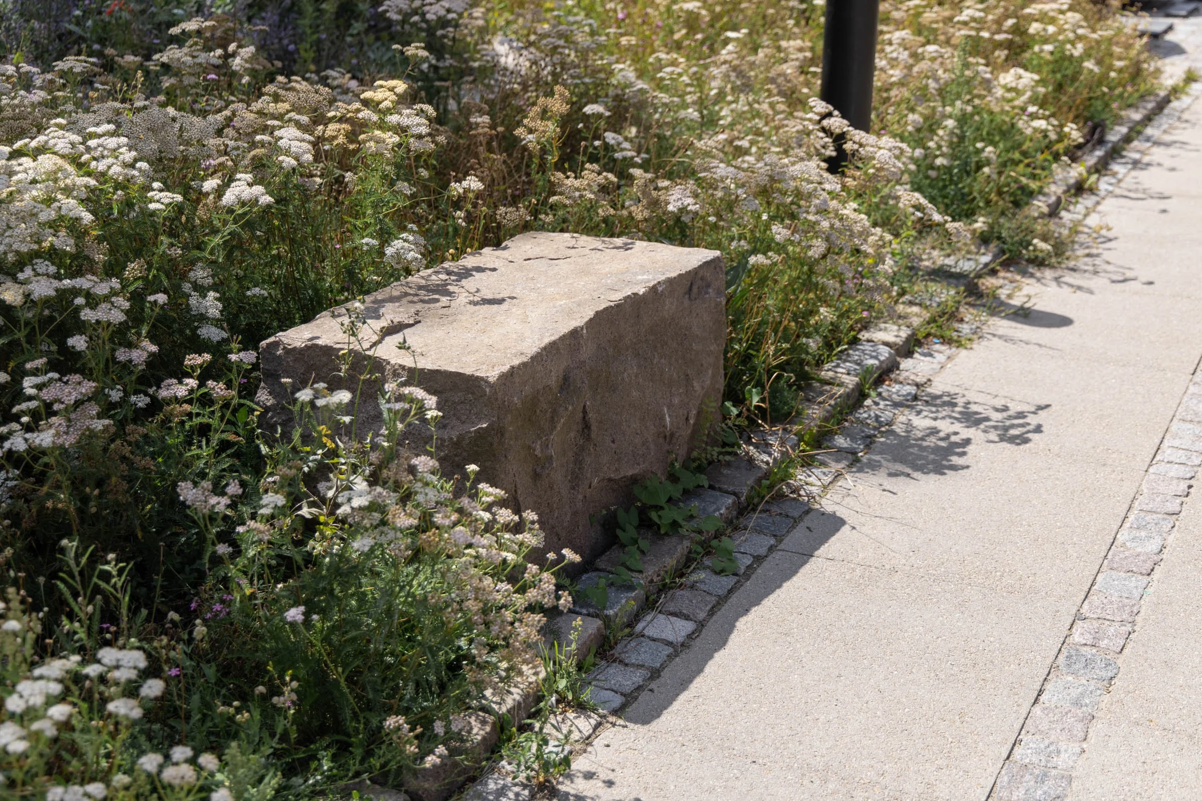 Sigynsgade-Krakas-Plads-Mikkel-Eye-6251.jpg