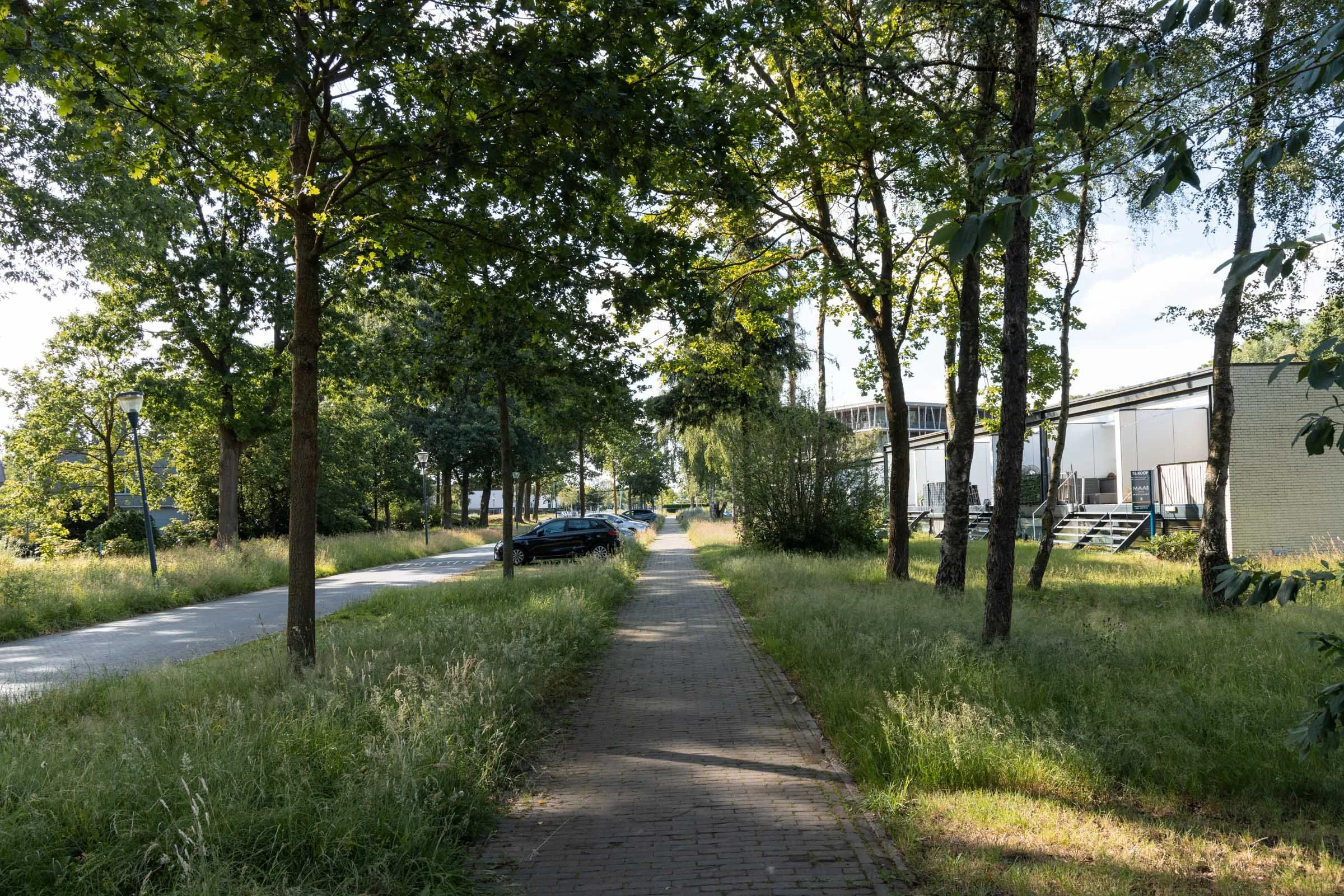 Bosrijk-Mikkel-Eye-4290.jpg