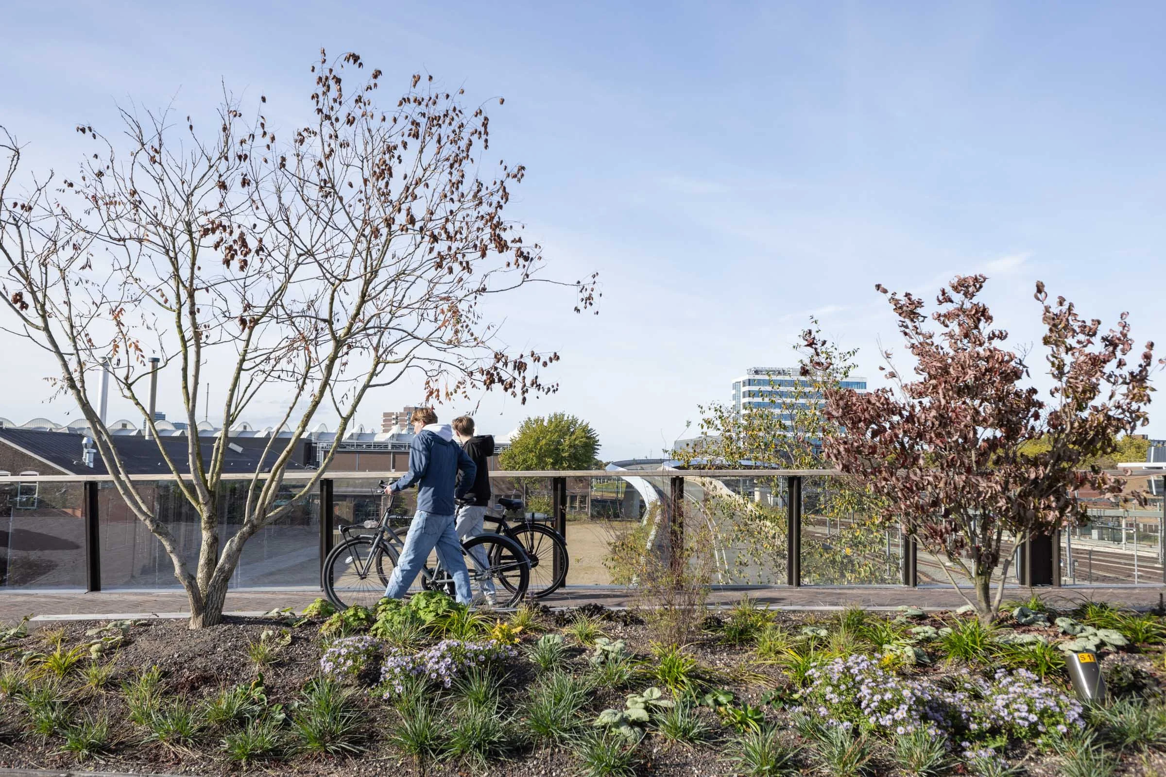 Passerelle Zwolle wooden bridge
