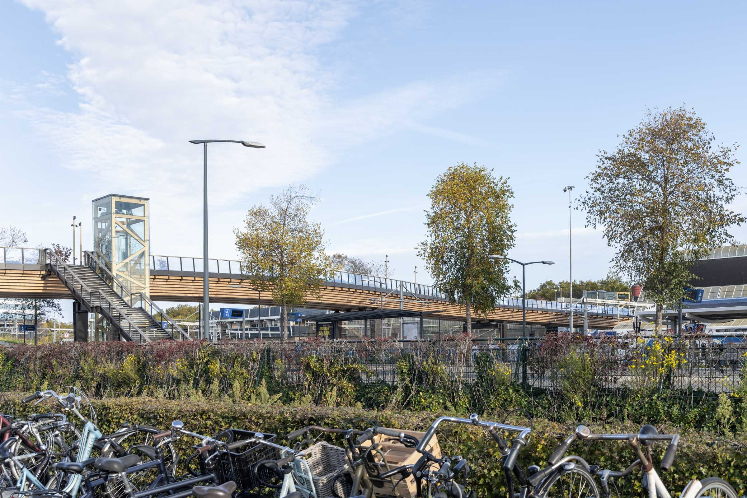 Passerelle Zwolle wooden bridge