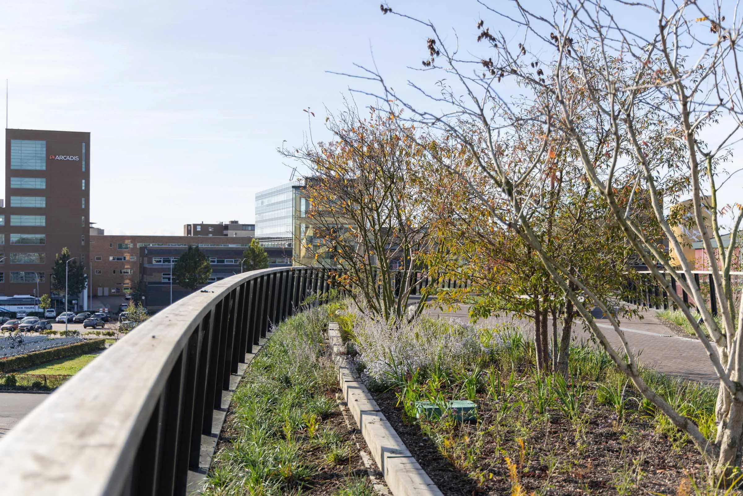 Passerelle Zwolle wooden bridge