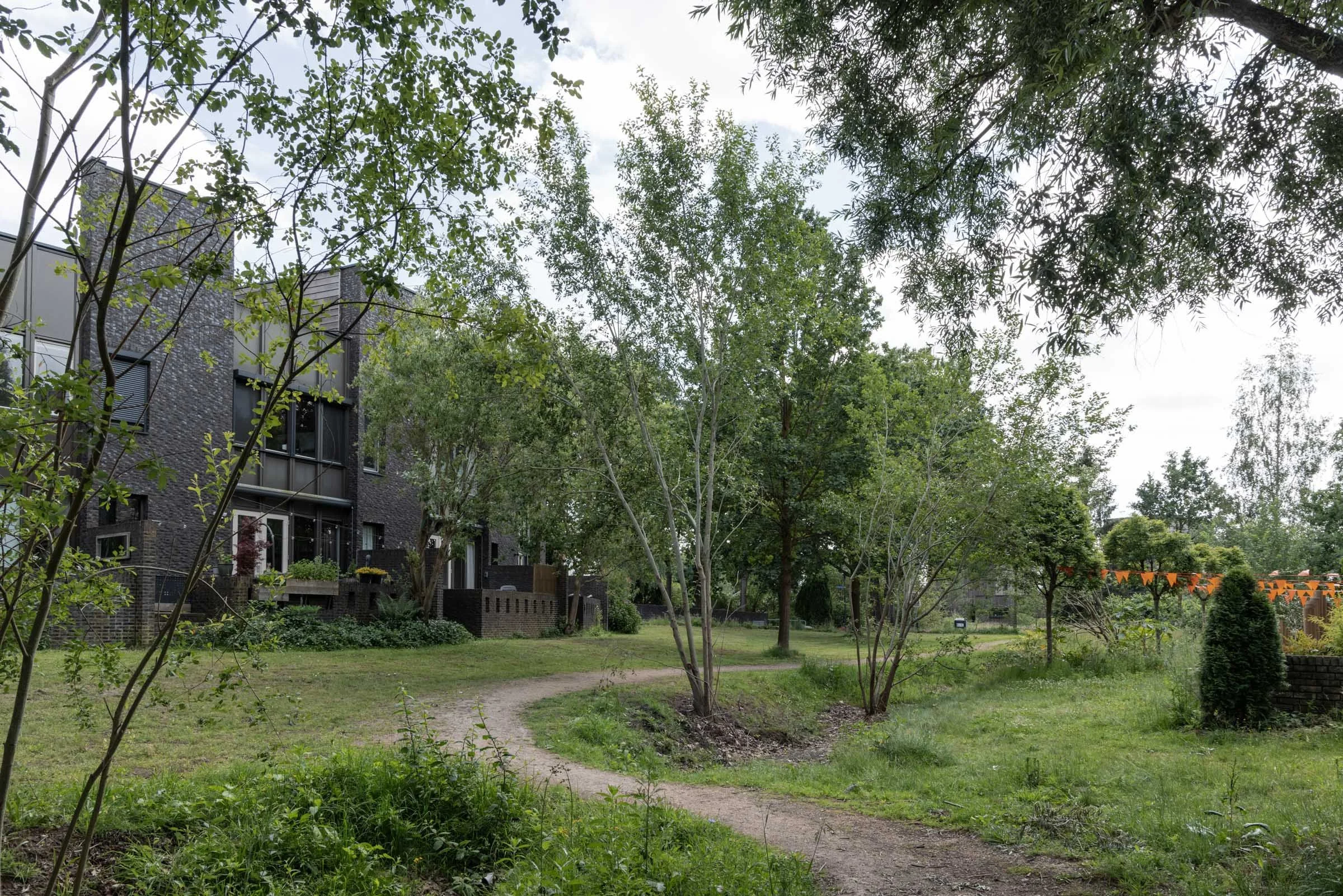 Bosrijk-Mikkel-Eye-4061.jpg