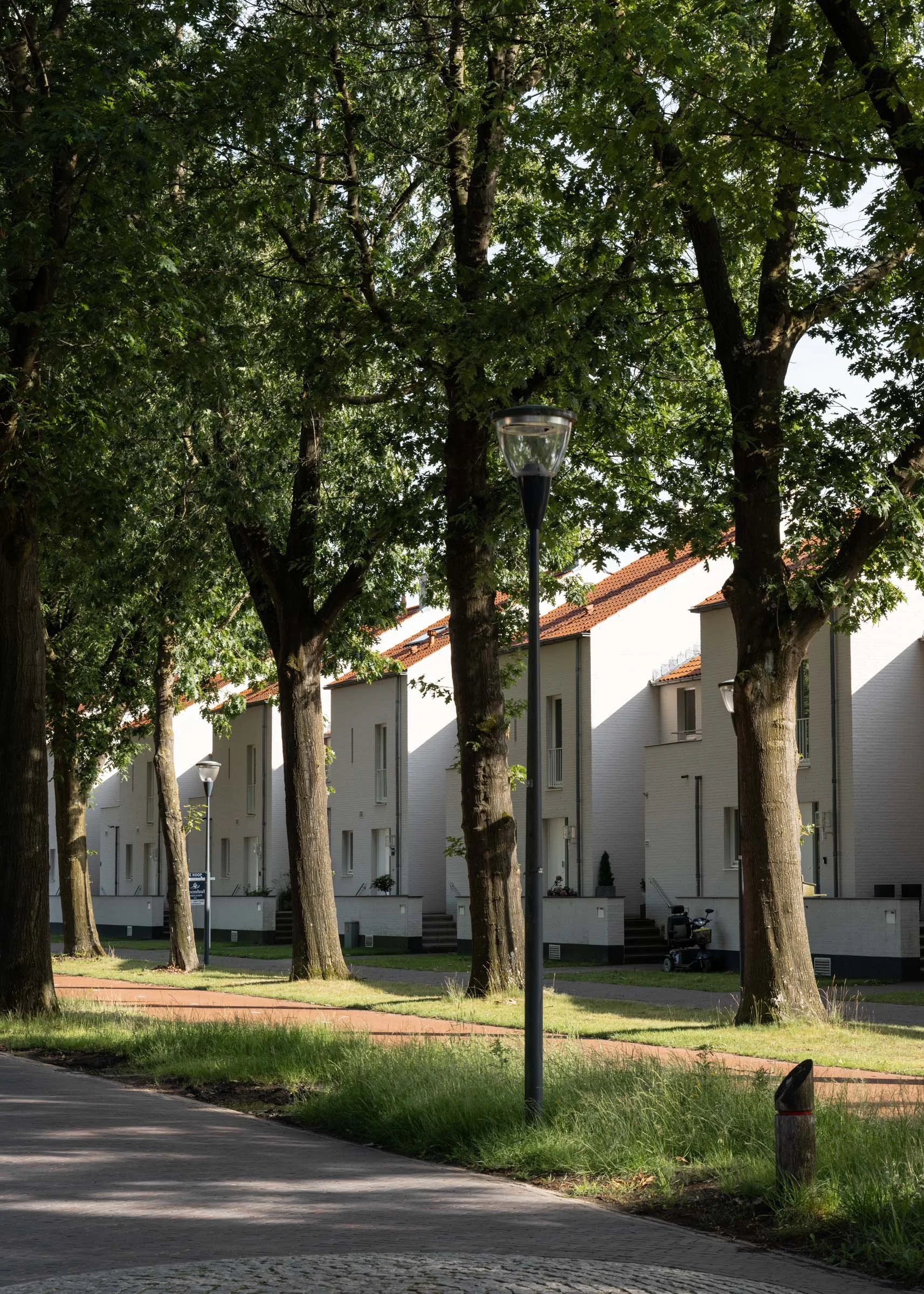 Bosrijk-Mikkel-Eye-4397.jpg