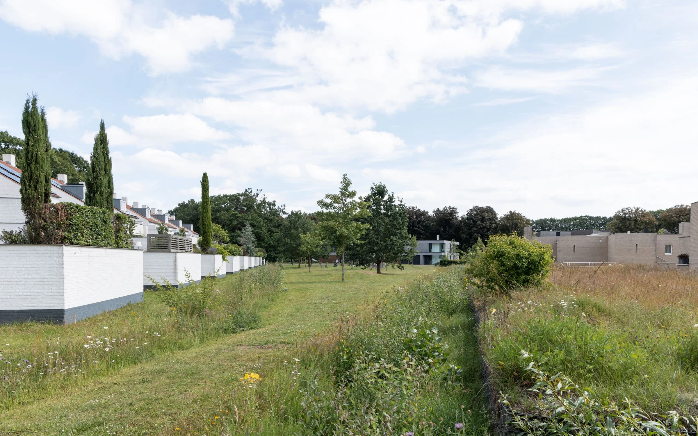 Bosrijk-Mikkel-Eye-4041.jpg