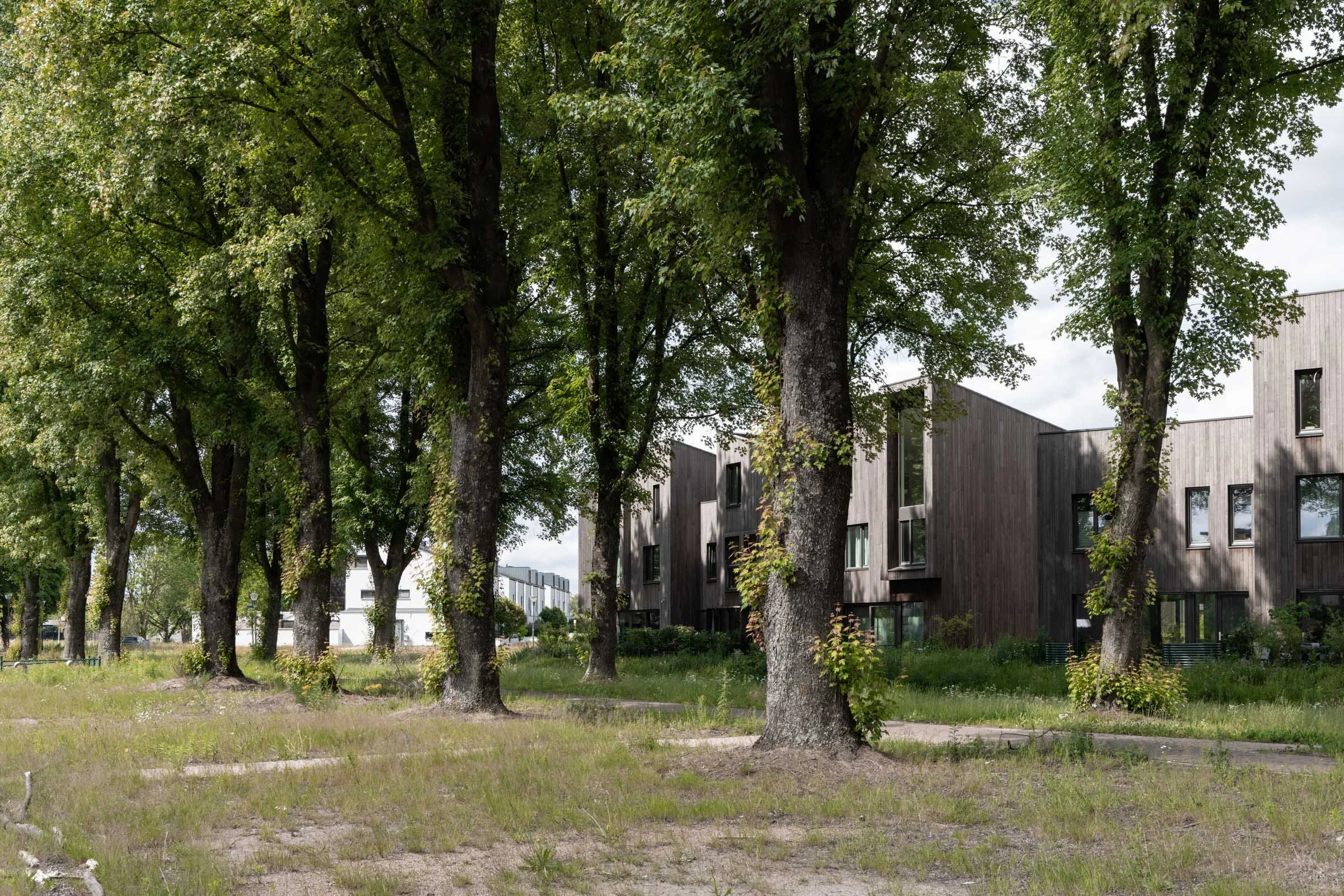 Bosrijk-Mikkel-Eye-3979.jpg