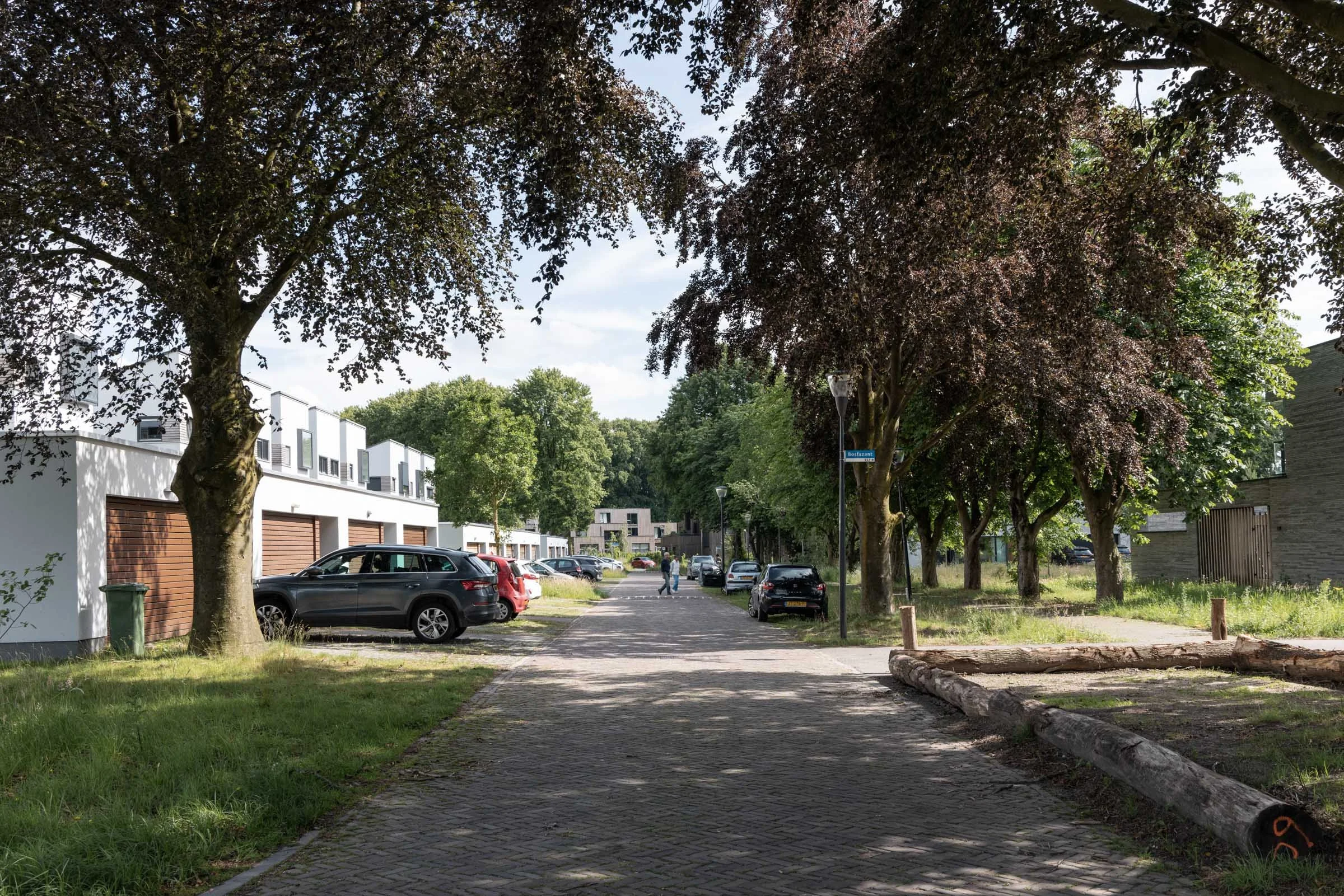 Bosrijk-Mikkel-Eye-4122.jpg
