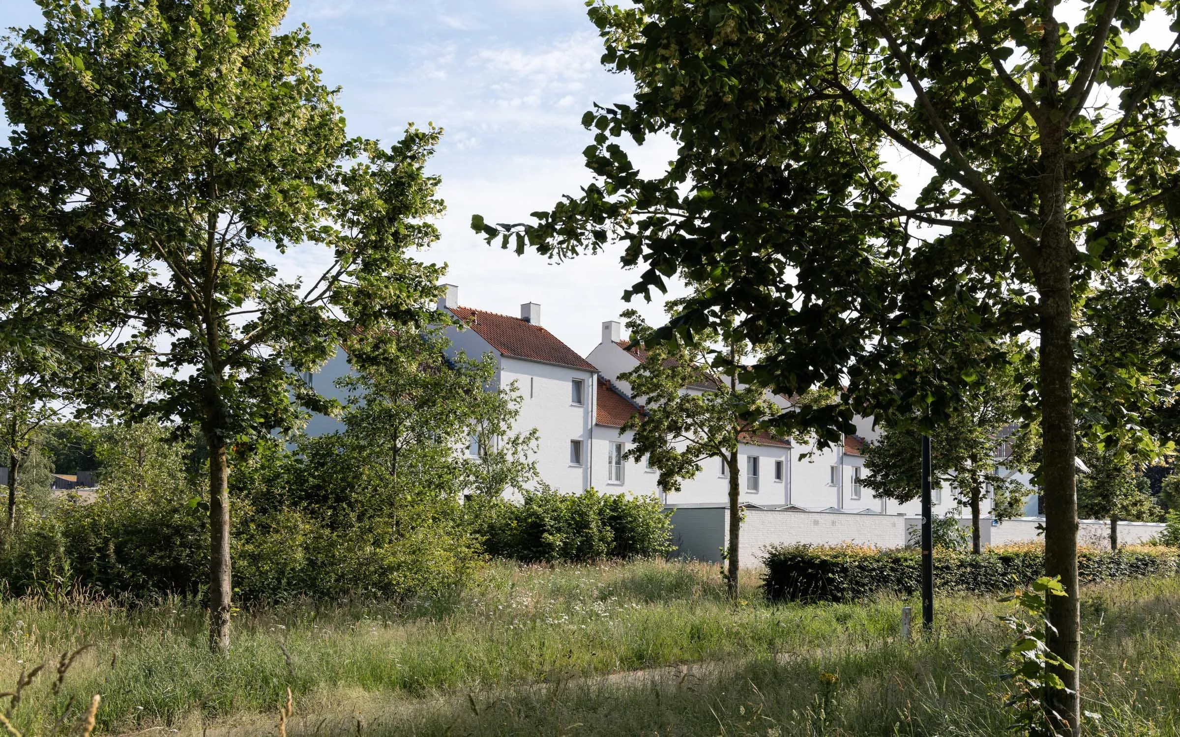 Bosrijk-Mikkel-Eye-4366.jpg