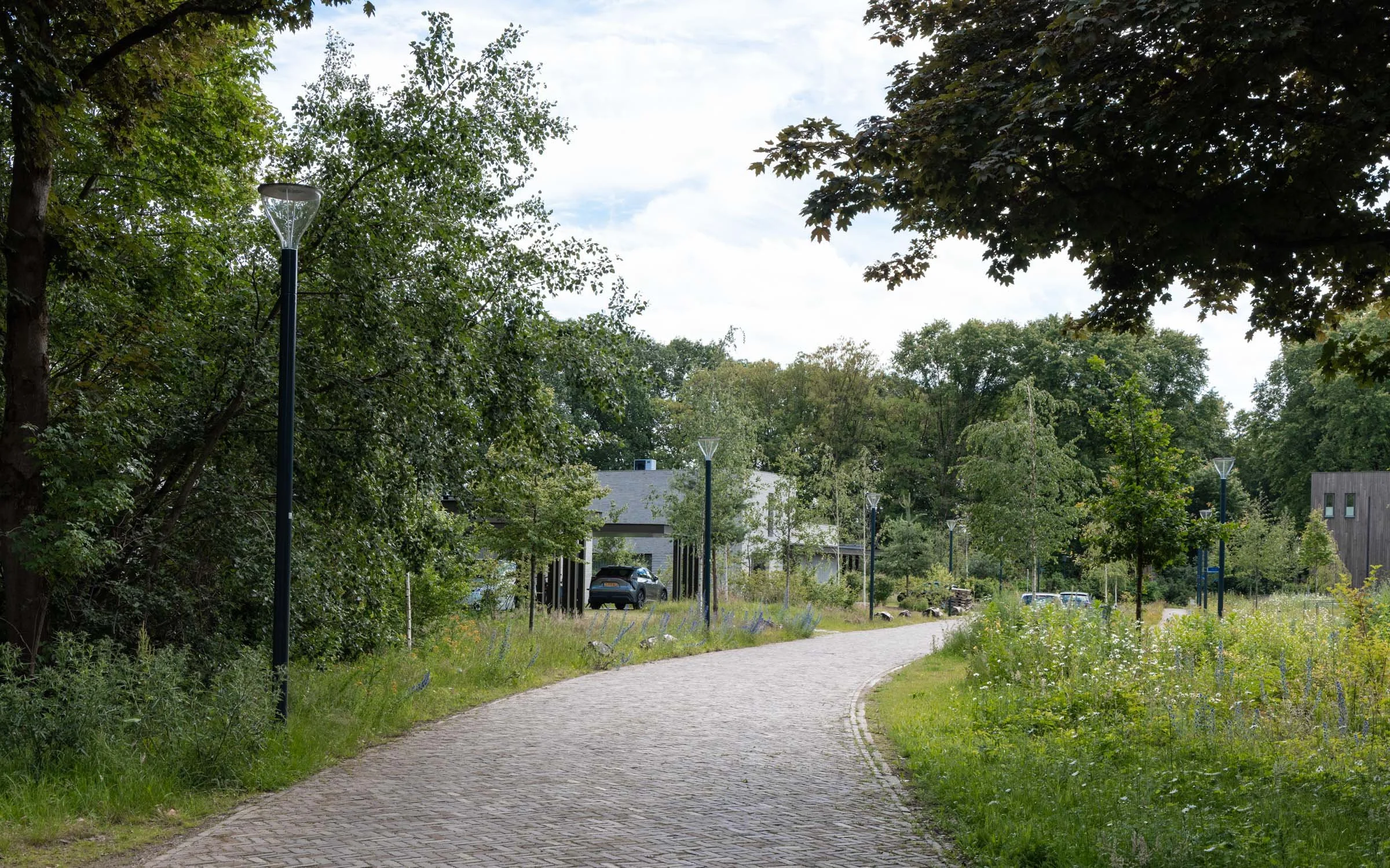 Bosrijk-Mikkel-Eye-4029.jpg