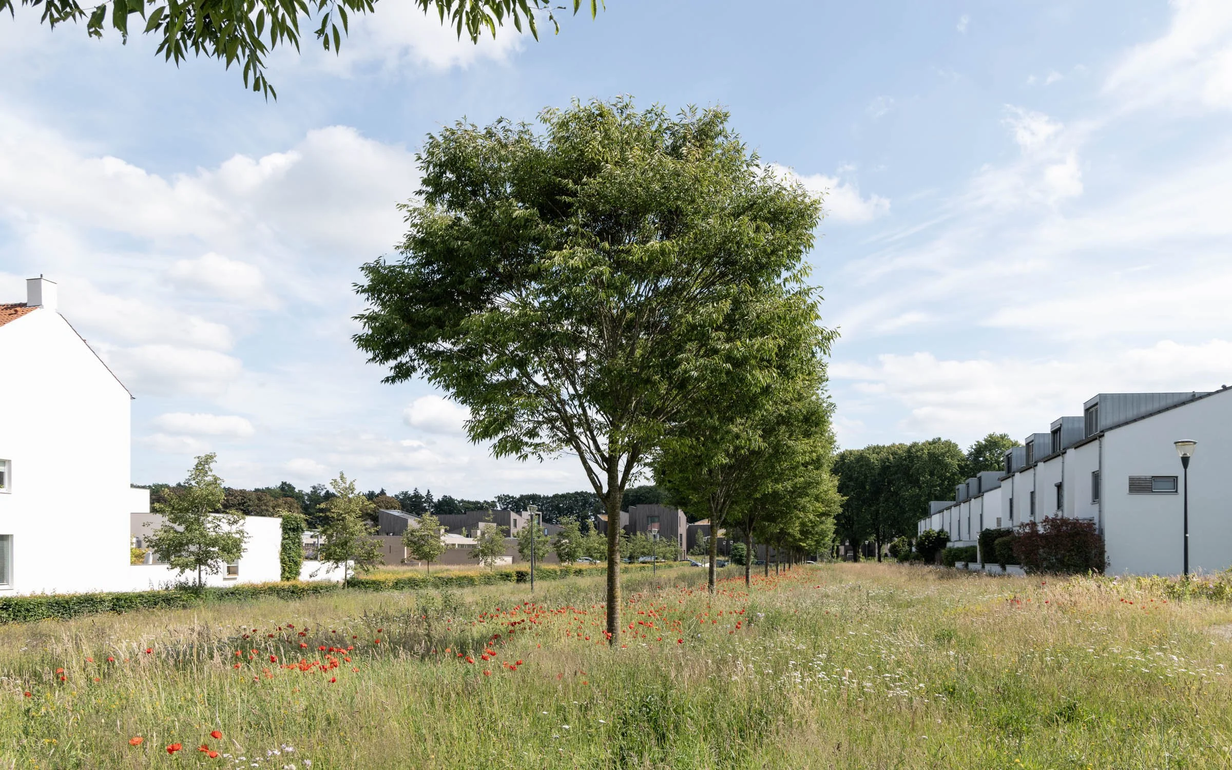 Bosrijk-Mikkel-Eye-4118.jpg