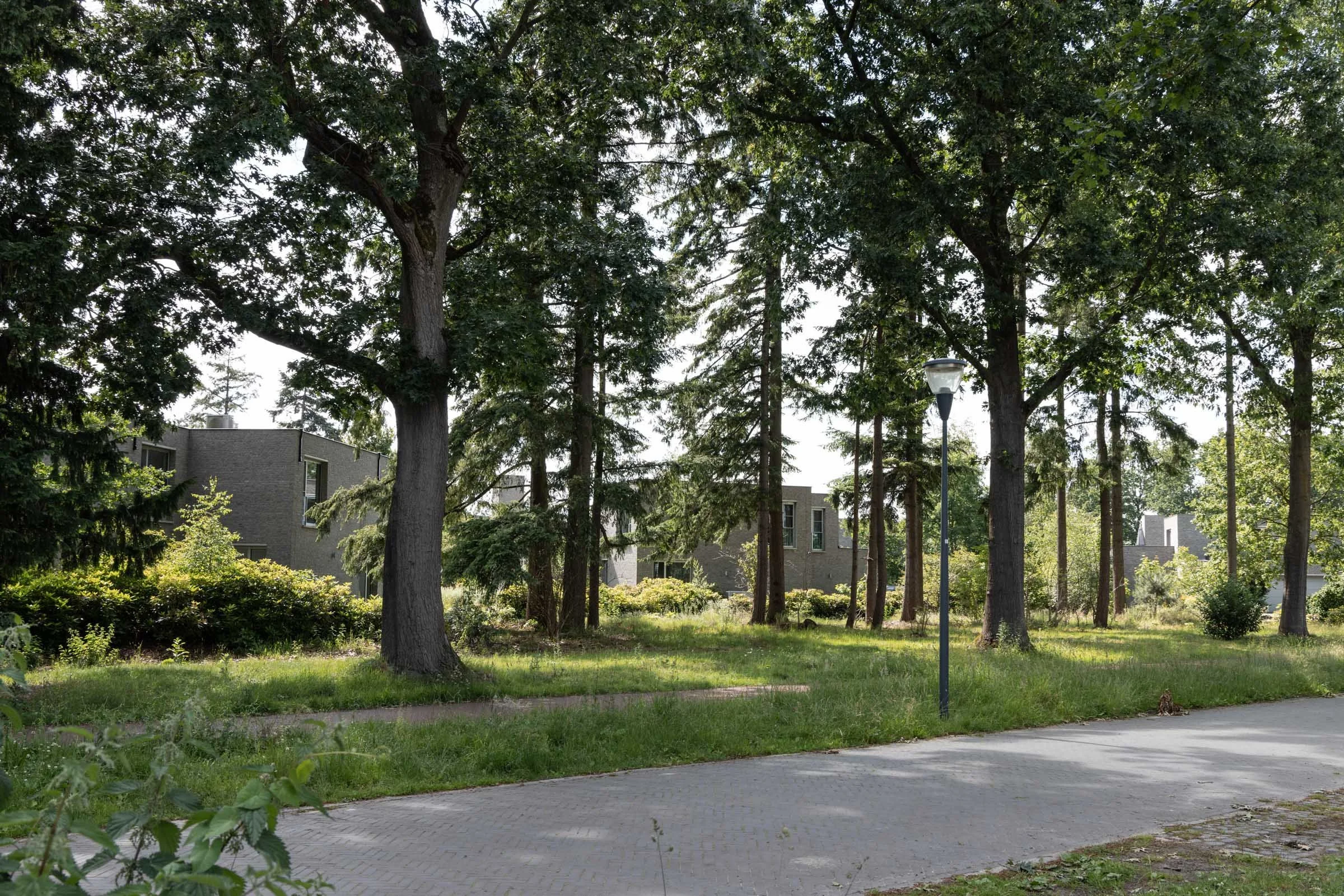 Bosrijk-Mikkel-Eye-4066.jpg