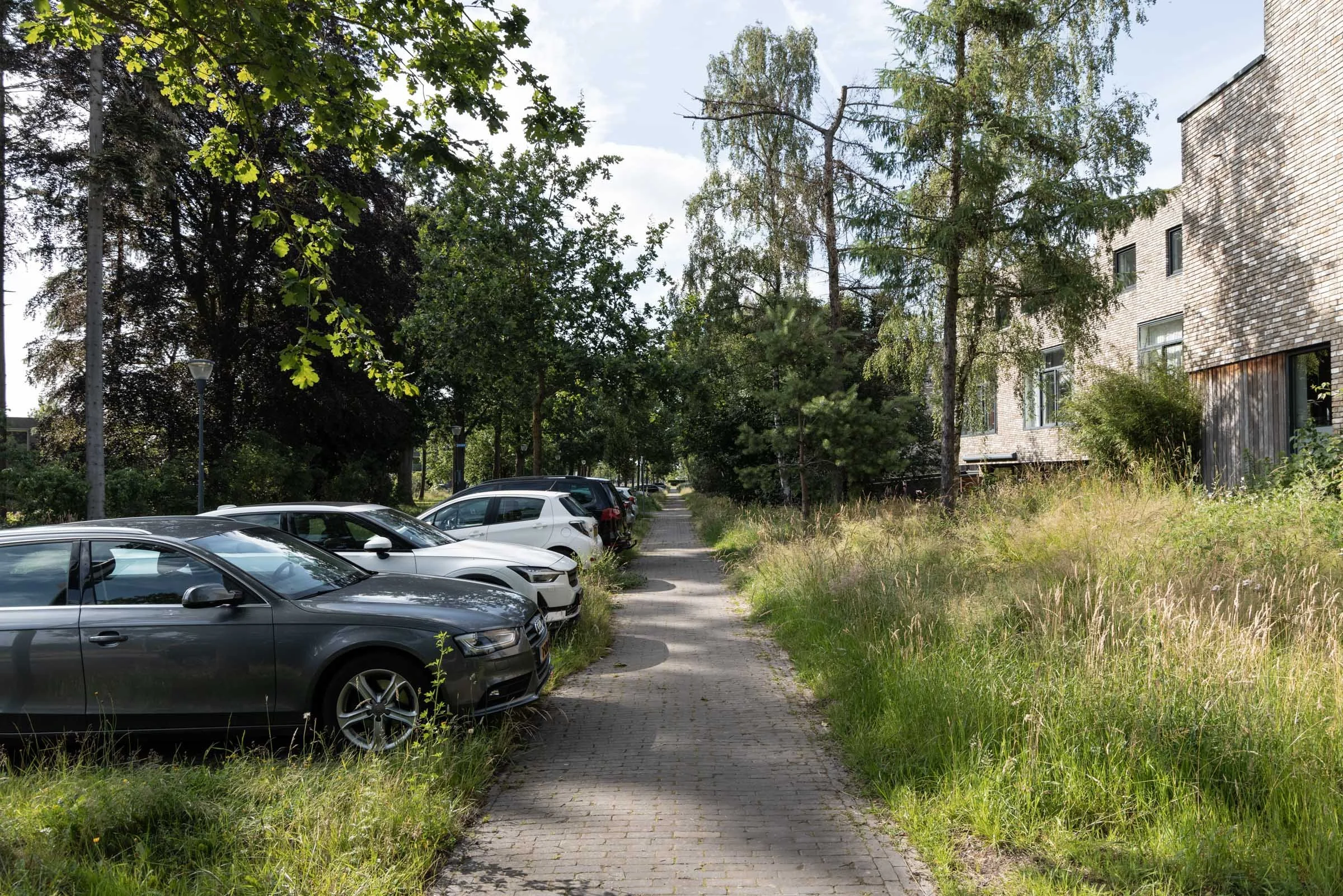 Bosrijk-Mikkel-Eye-4275.jpg