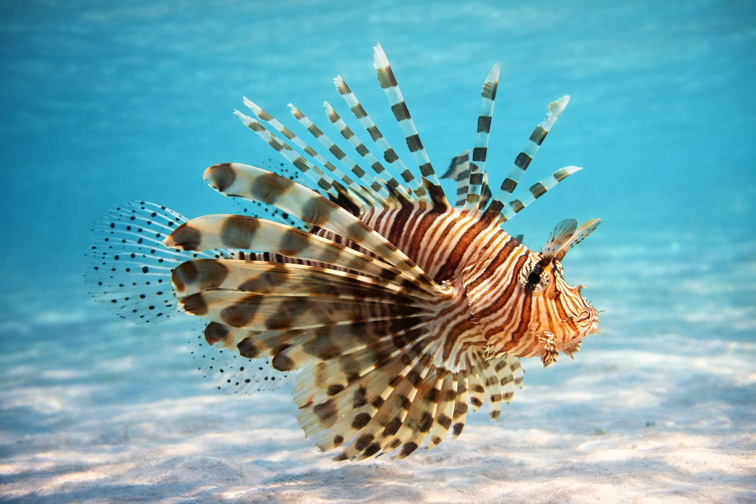 Copy of 600_800- 3day.png