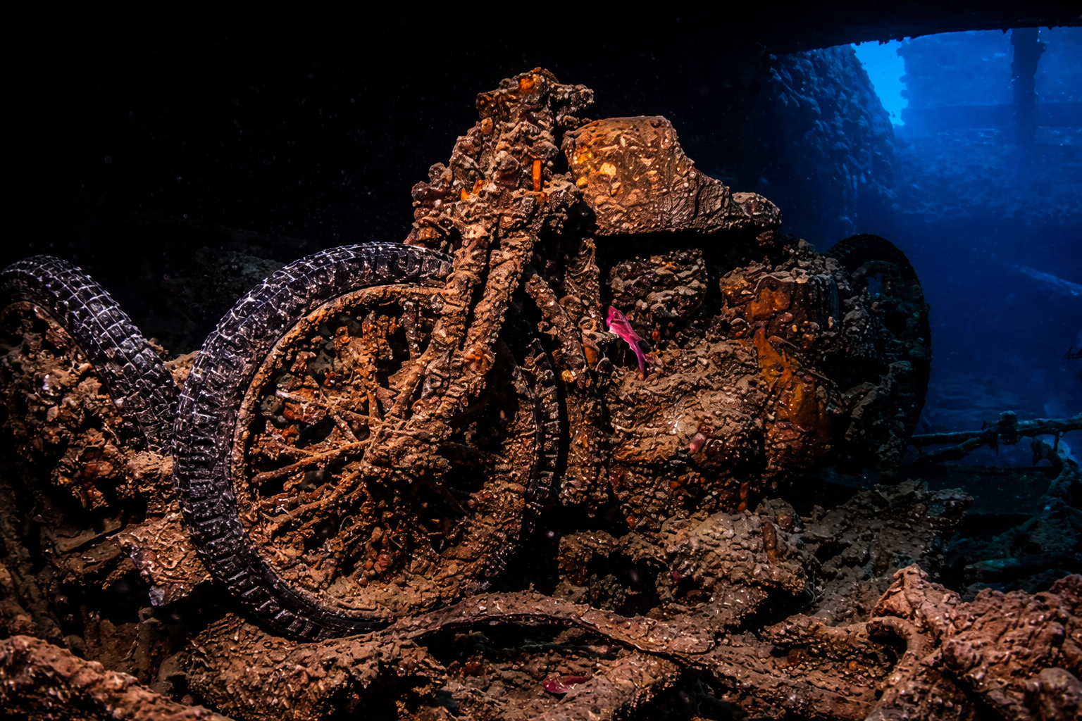 Copy of SS Thistlegorm.png