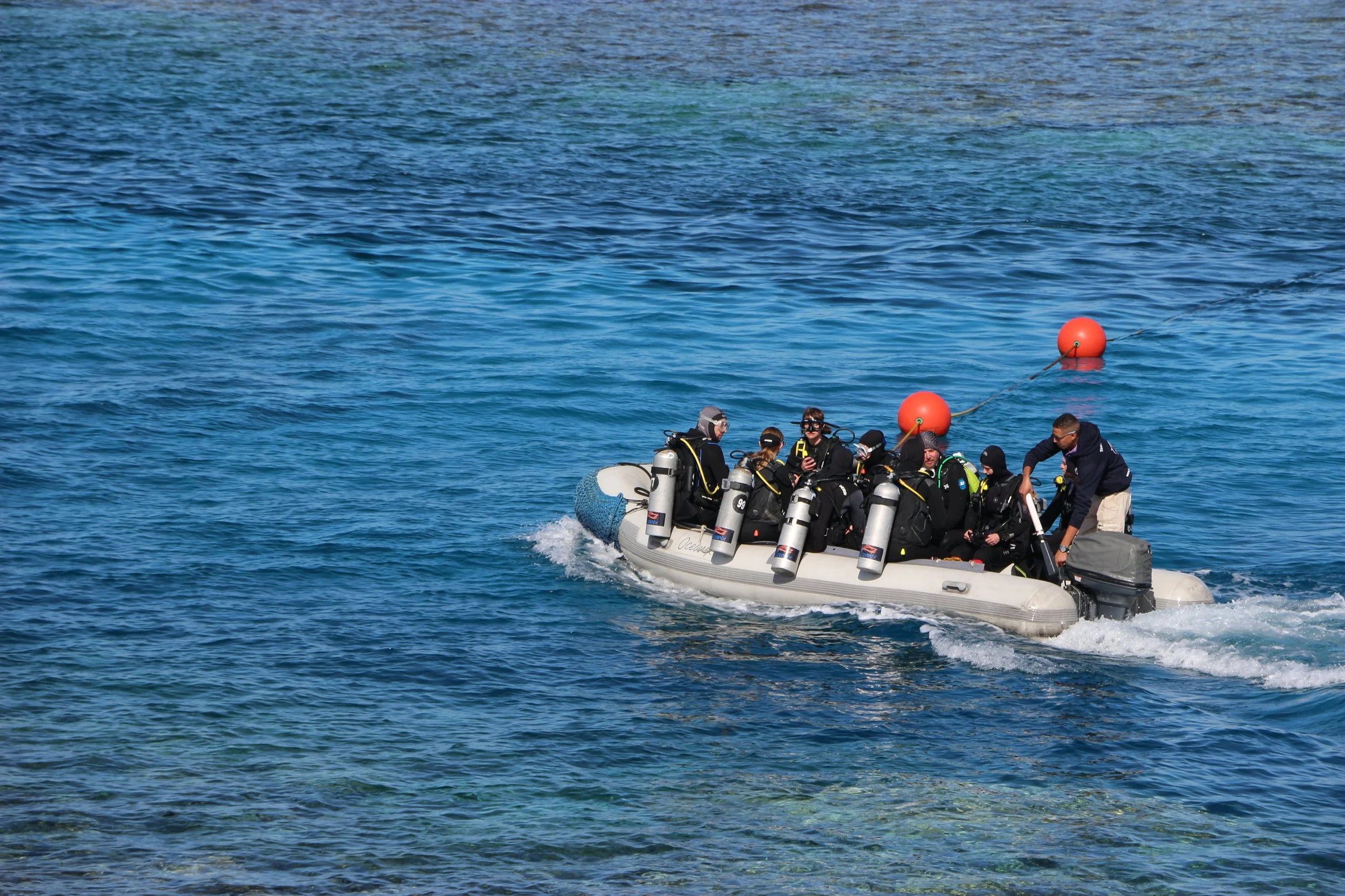 Copy of IMG_7851.JPG