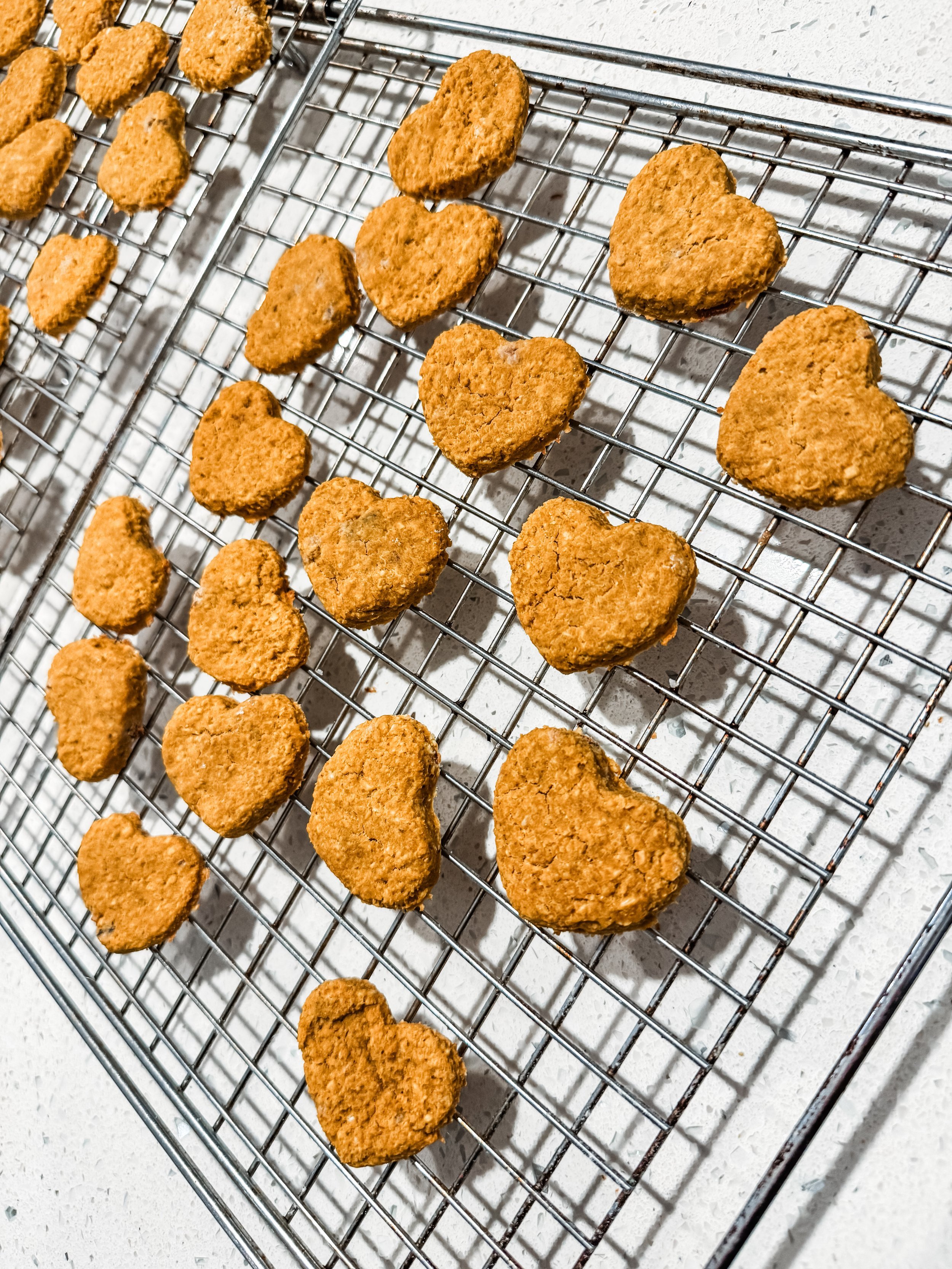 recipe: homemade 🐶 treats
