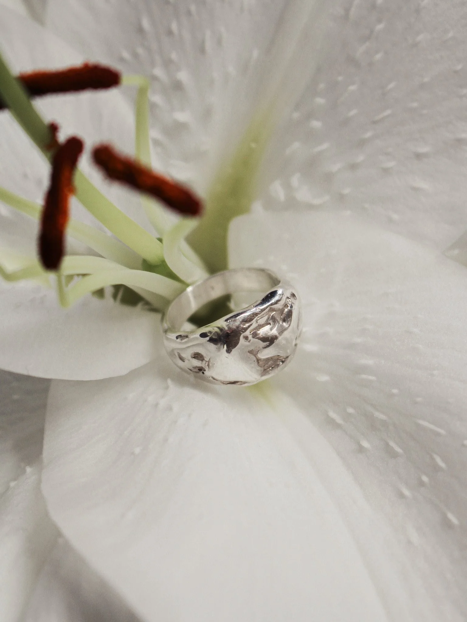 Wilstone Sterling Silver ring