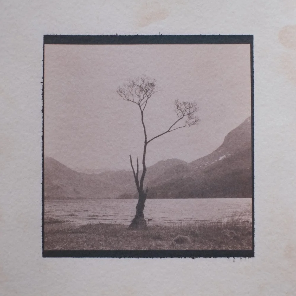 Cyanotypes