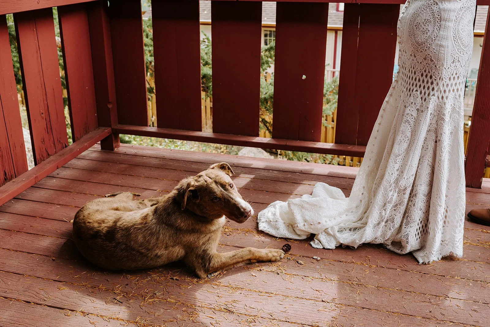 Colorado St Marys Glacier Elopement12.jpg