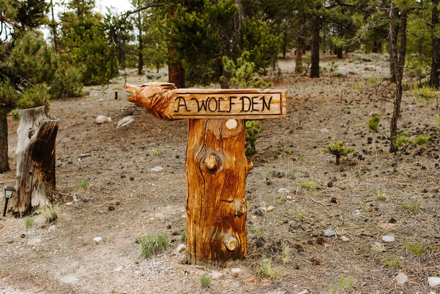 Wolf Den Wedding, Twin Lakes, Colorado Wedding, intimate twin lakes wedding, twin lakes elopement, aspen wedding photographer, wolf den elopement, colorado wedding photographer, colorado elopement, colorado destination wedding, adventure elopement,