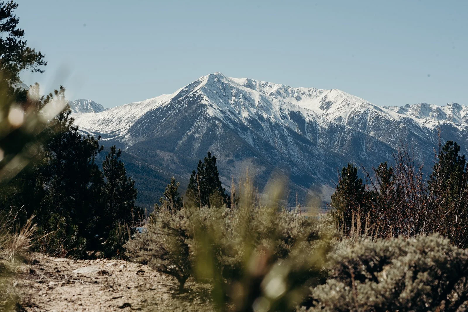 intimate twin lakes wedding, independence pass wedding, airbnb wedding, airbnb elopement, twin lakes elopement, aspen wedding photographer, wolf den elopement, colorado wedding photographer, colorado elopement, colorado destination wedding, adventu