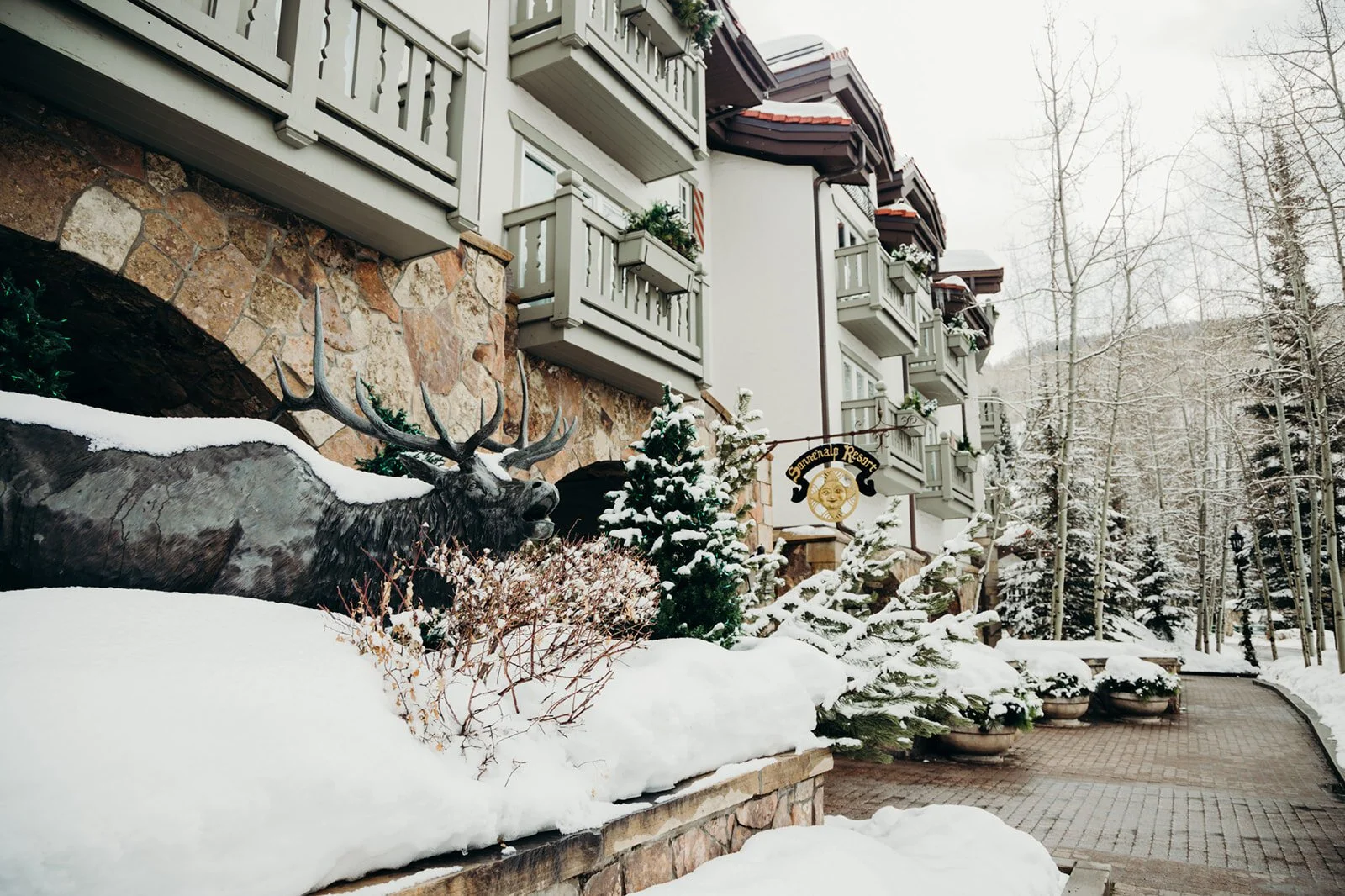 vail wedding, sonnenalp wedding, vail wedding photographer, sonnenalp wedding photographer, colorado wedding, colorado wedding photographer, sonnenalp vail, colorado destination wedding, winter wedding in vail, sonnenalp winter wedding, sonnenalp v