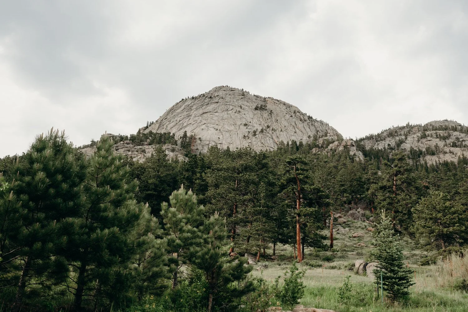 della terra mountain chateau wedding, della terra wedding, estes park wedding, Estes Park Wedding Photographer, estes park wedding venues, colorado wedding venues, colorado wedding, colorado wedding photographer, summer mountain wedding, colorado de