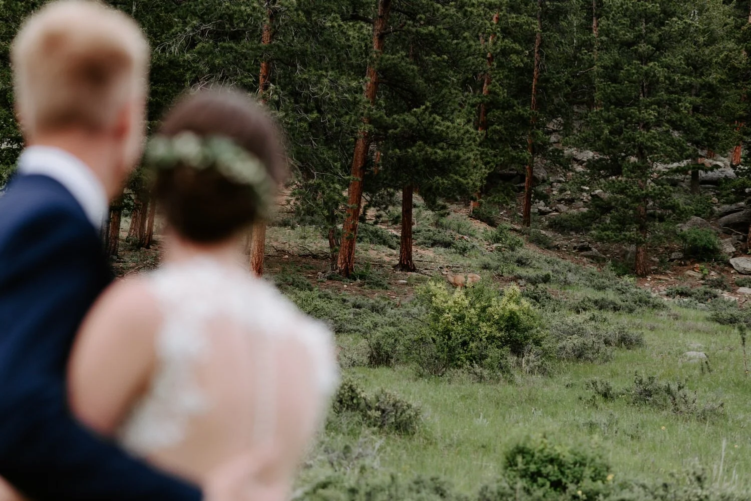 della terra mountain chateau wedding, della terra wedding, estes park wedding, Estes Park Wedding Photographer, estes park wedding venues, colorado wedding venues, colorado wedding, colorado wedding photographer, summer mountain wedding, colorado de