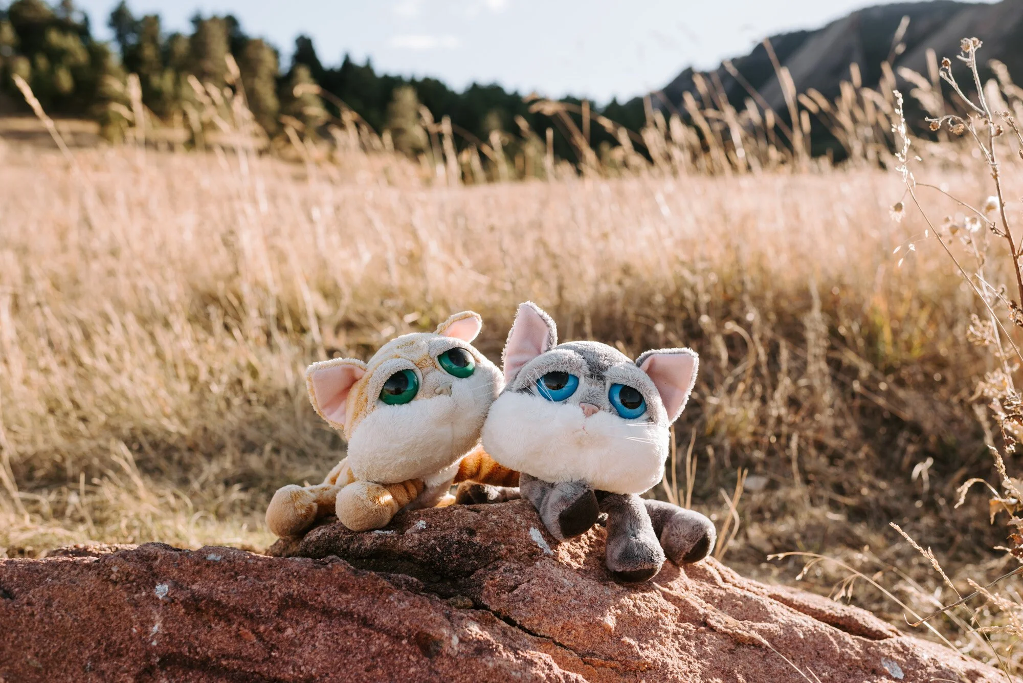 best of 2019 (44 of 61).jpg