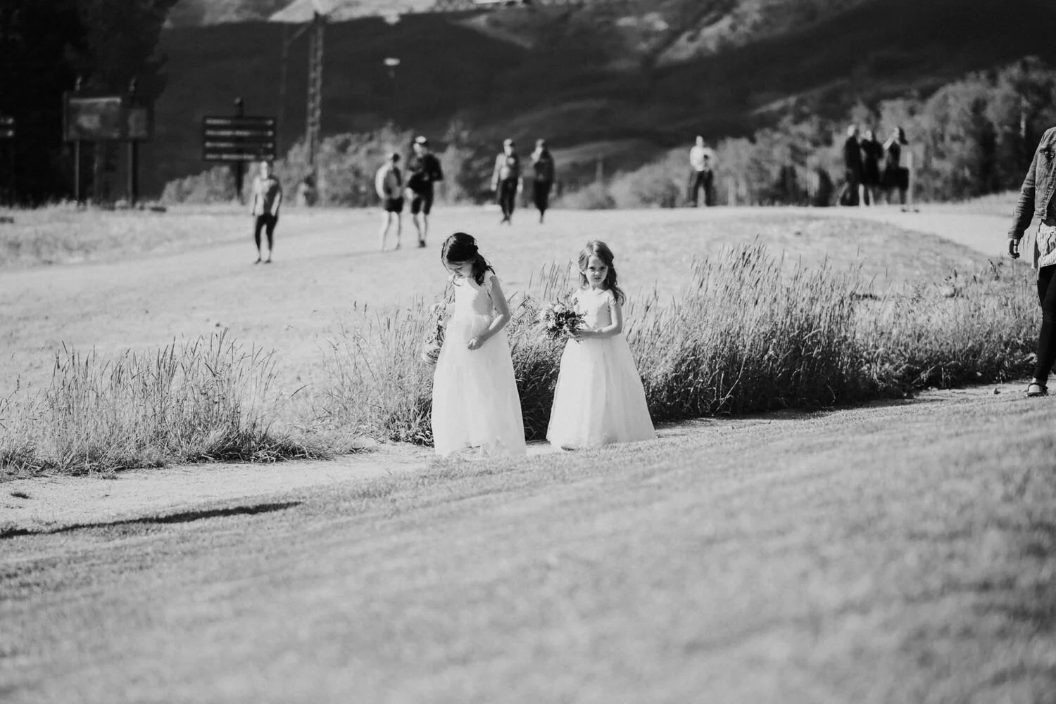 san sophia overlook, san sophia overlook wedding, telluride wedding, telluride wedding photographer, colorado wedding, colorado wedding photographer, intimate colorado wedding, colorado destination wedding, Colorado Mountain Wedding, Colorado Mounta
