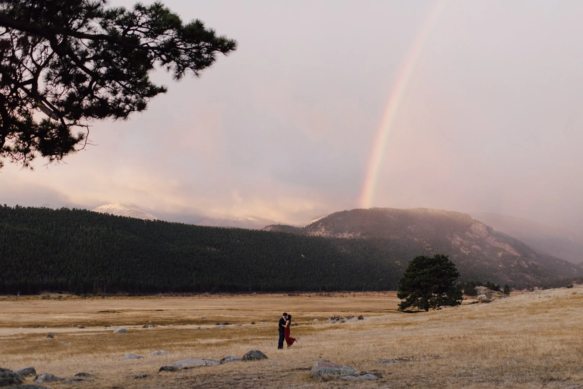 Rocky Mountain National Park Engagement Session - Colorado Wedding Photographer - Erin and Taylor