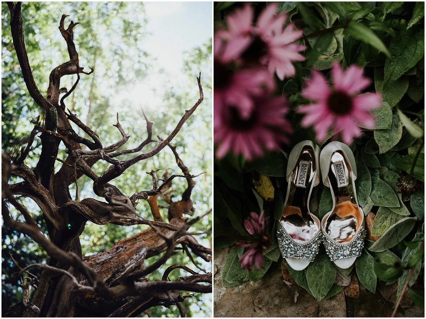 sonnenalp wedding vail, vail wedding deck wedding, donovan pavilion wedding, colorado wedding, colorado wedding photographer, colorado wedding venues, colorado destination wedding, Colorado Mountain Wedding, Colorado Mountain venues, vail wedding ve