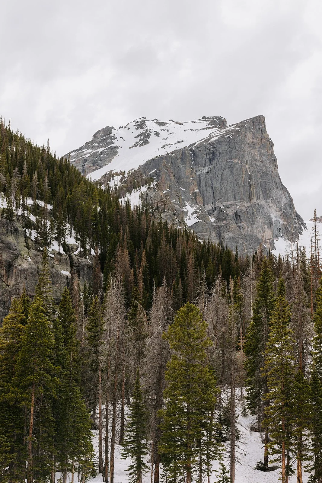 Shelby_Ryan_RMNP_Elopement (443 of 556).jpg
