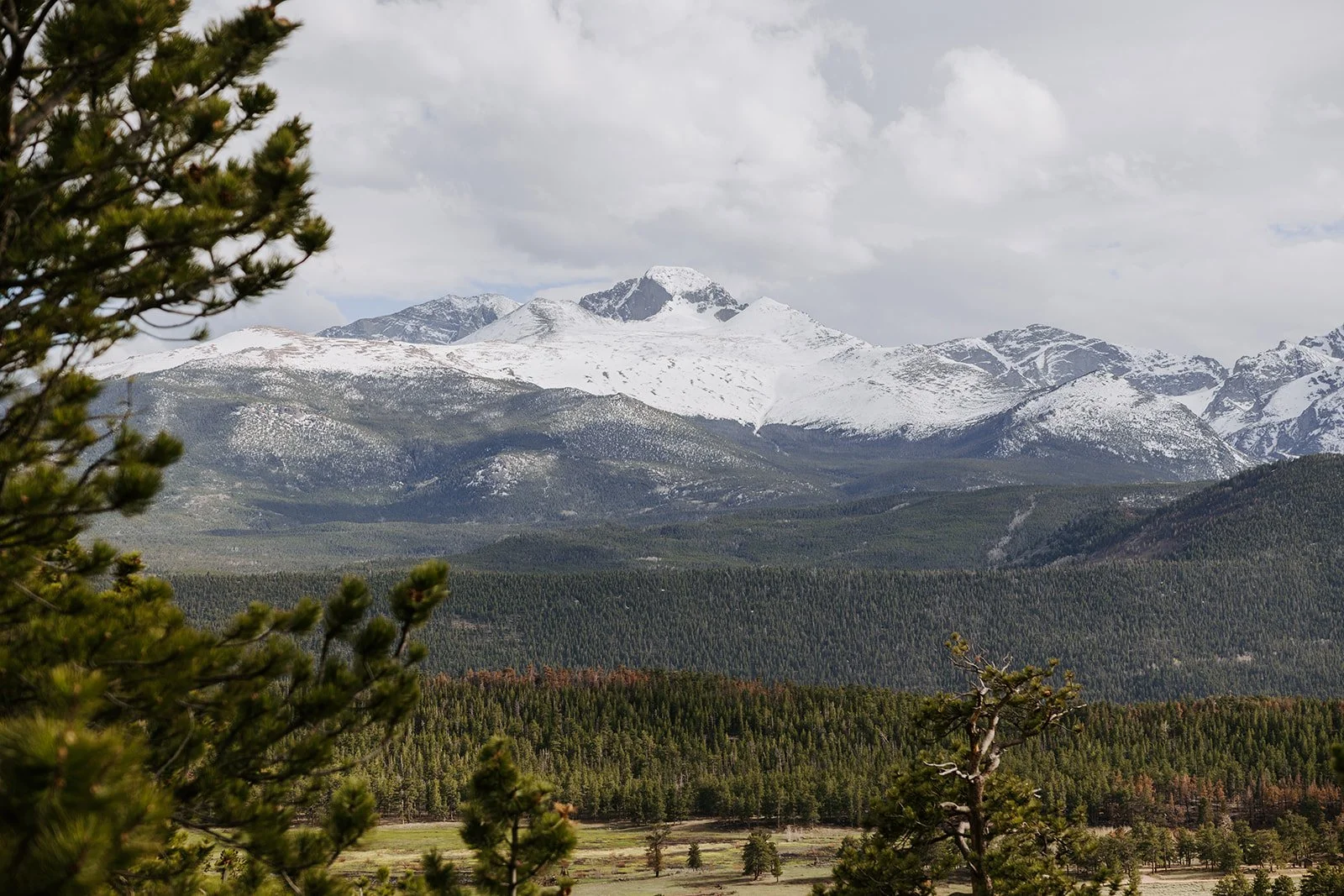 Shelby_Ryan_RMNP_Elopement (513 of 556).jpg
