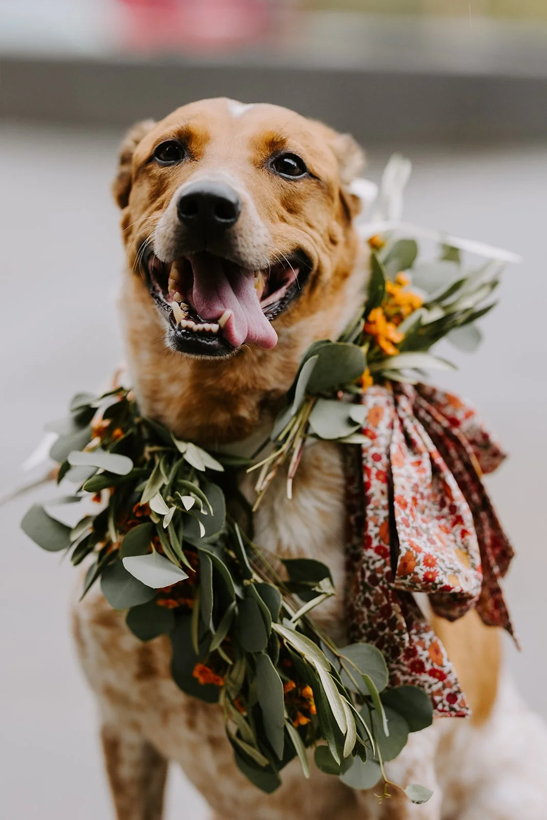 Mountain View Ranch Colorado Wedding57.jpg