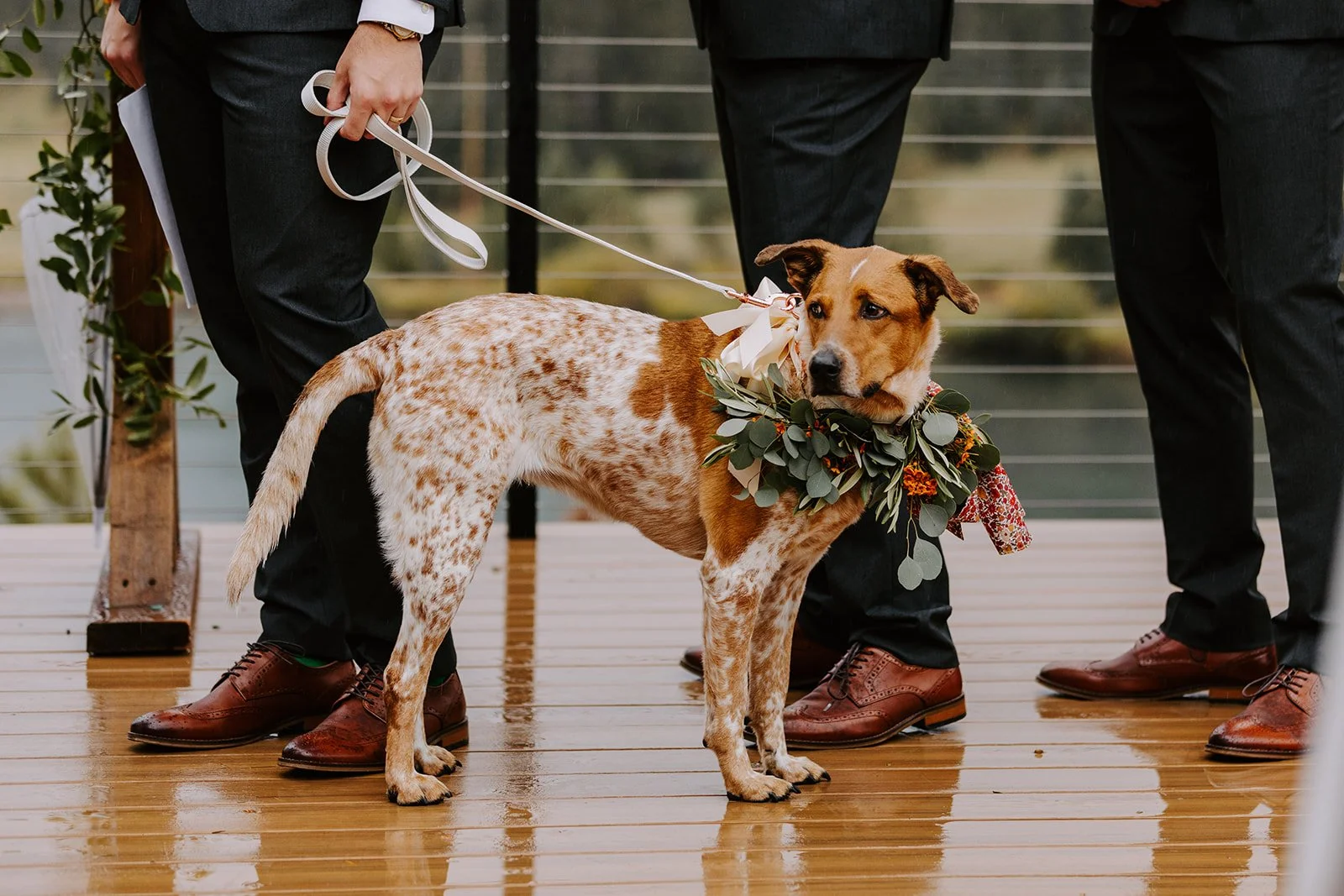 Mountain View Ranch Colorado Wedding108.jpg