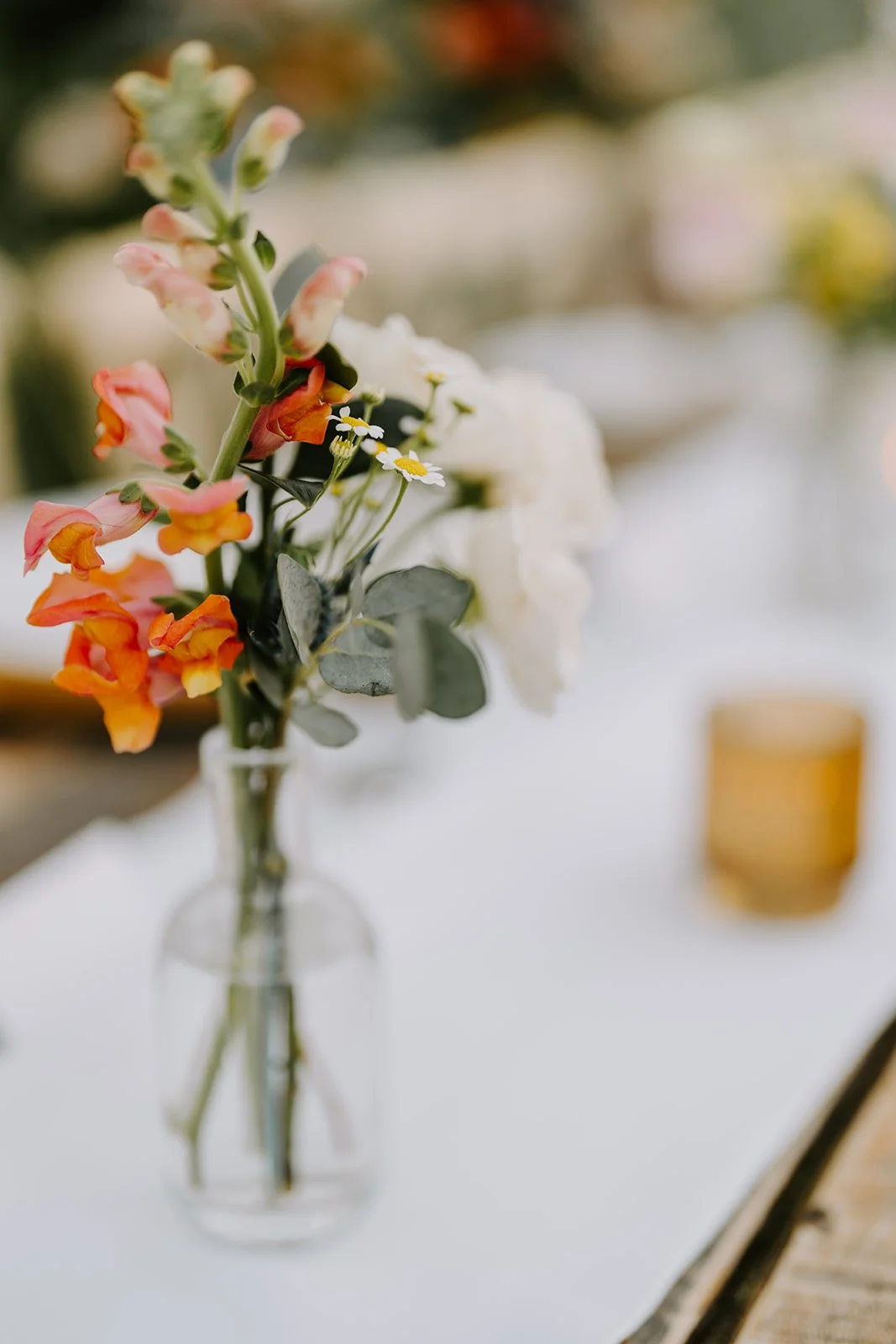 Blackstone Rivers Ranch Wedding202.jpg