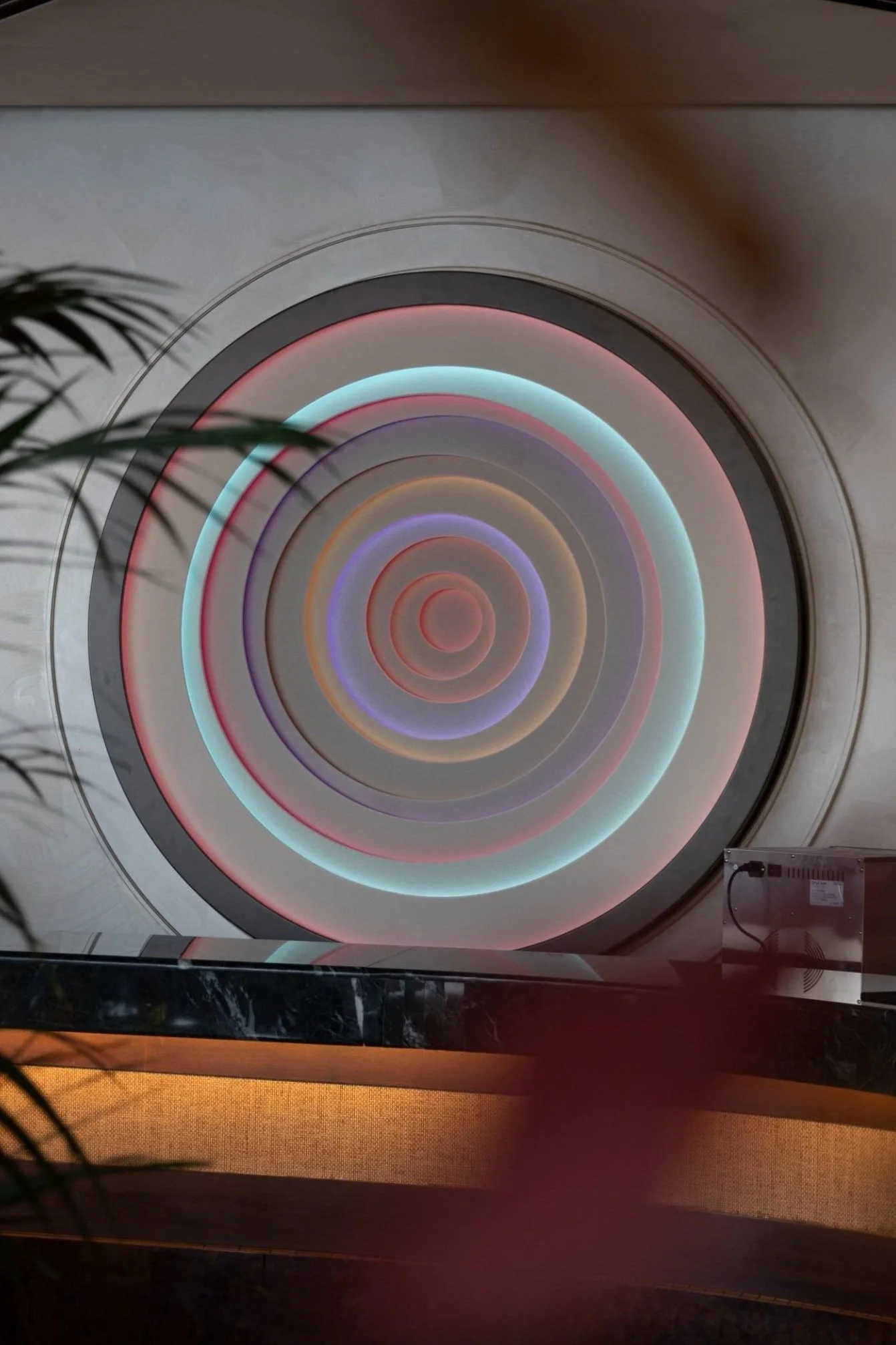 WhatsApp Image 2025-03-24 at 3.09.29 PM (4).jpg