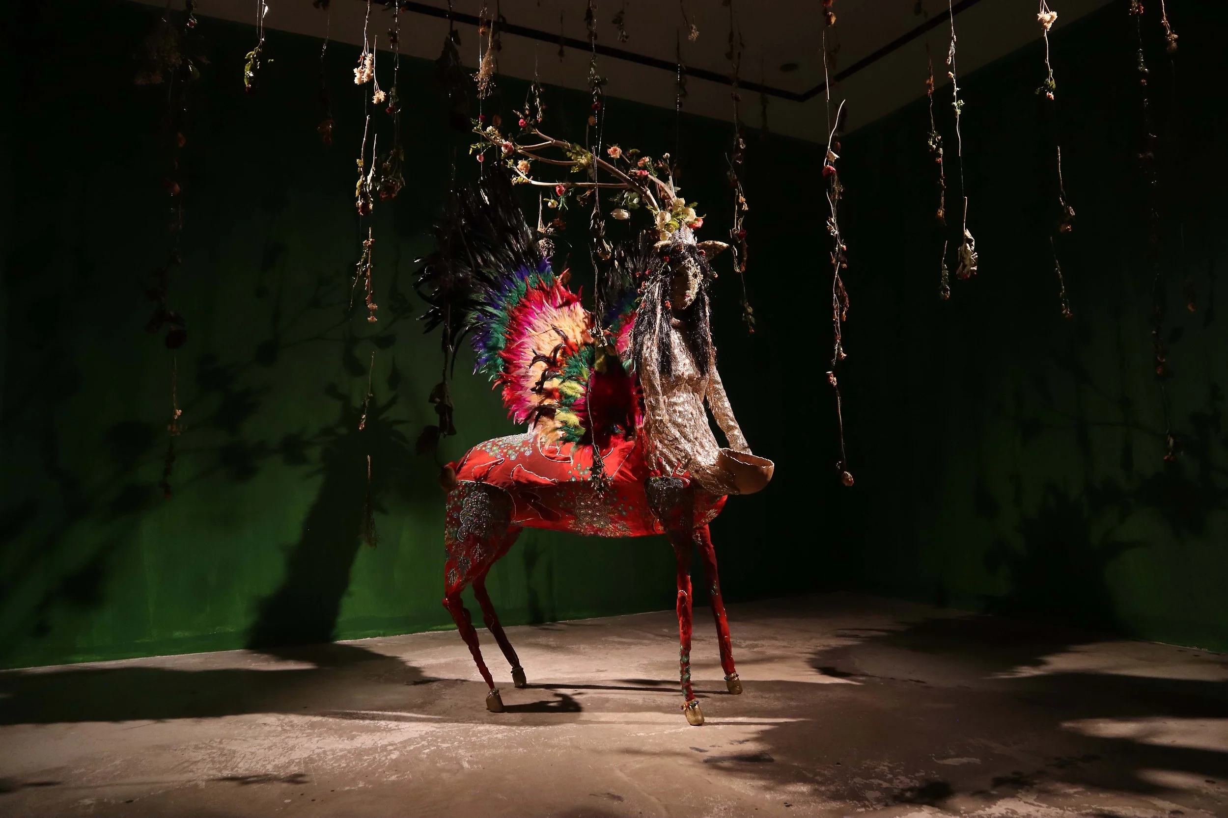 Canan Chita Çekim Low Res-IMG_4092.JPEG