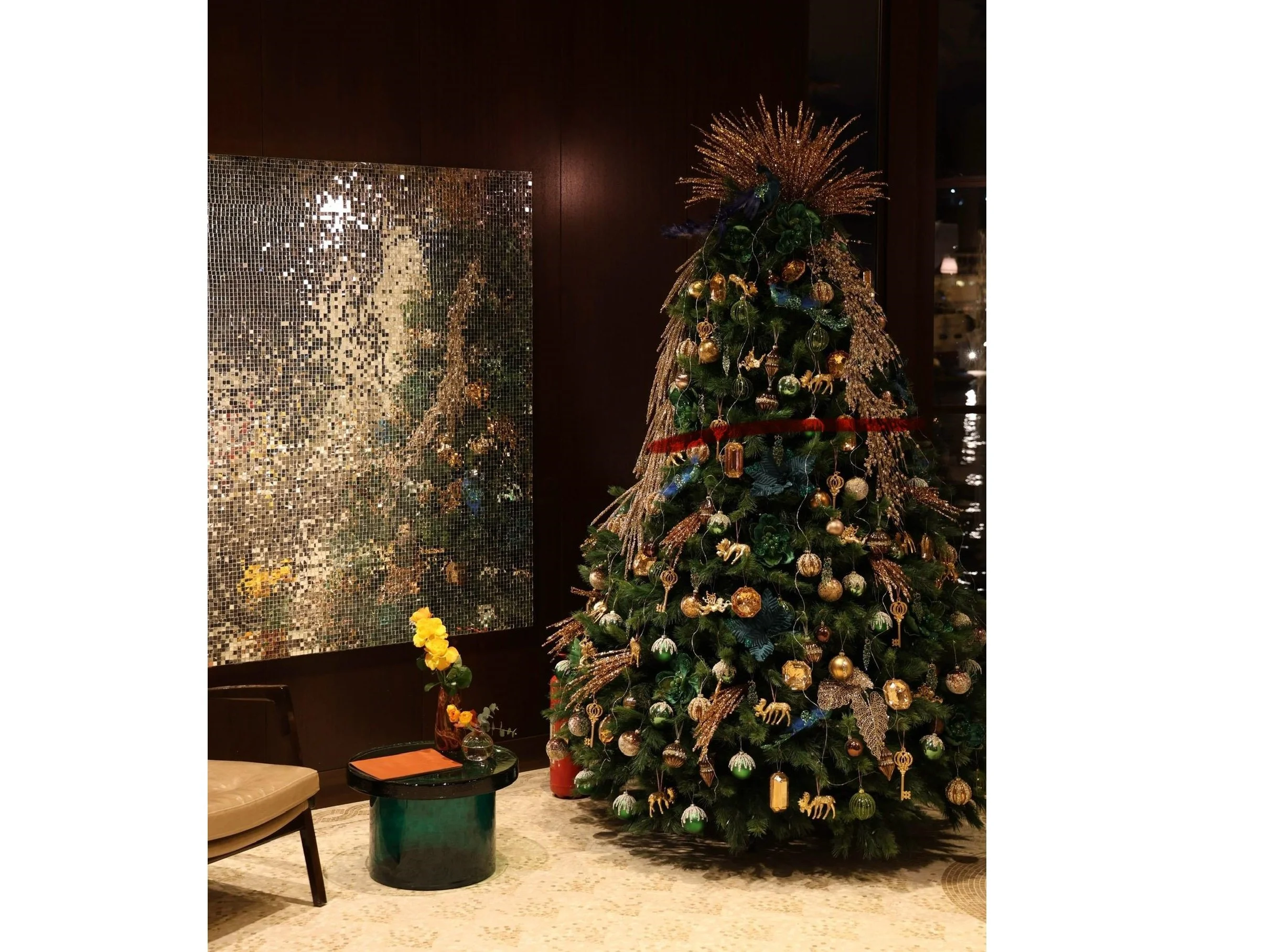 WhatsApp Image 2025-03-24 at 3.09.29 PM (3).jpeg