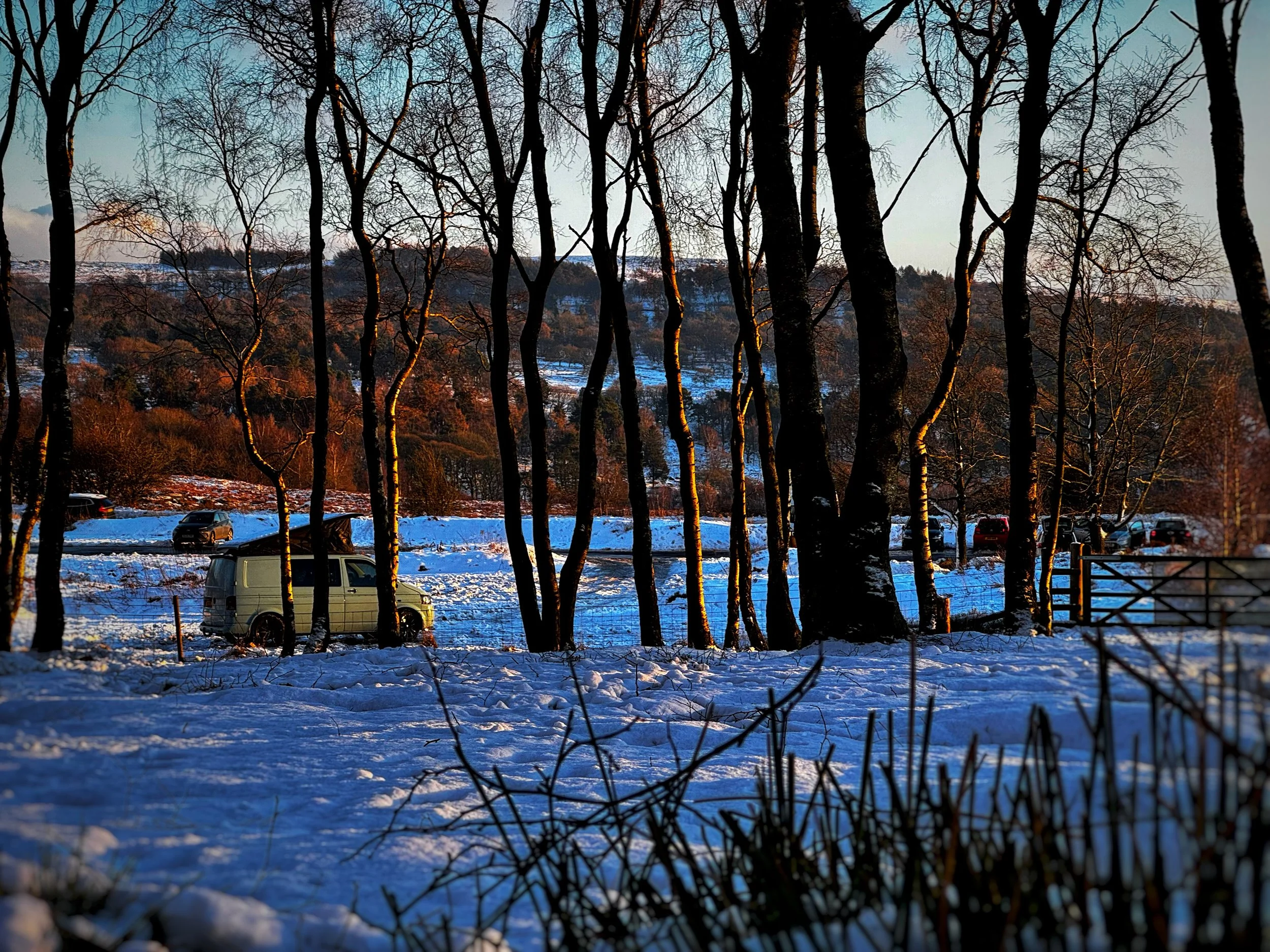 Winter landscape with snow-covered ground, trees, and parked vehicles.