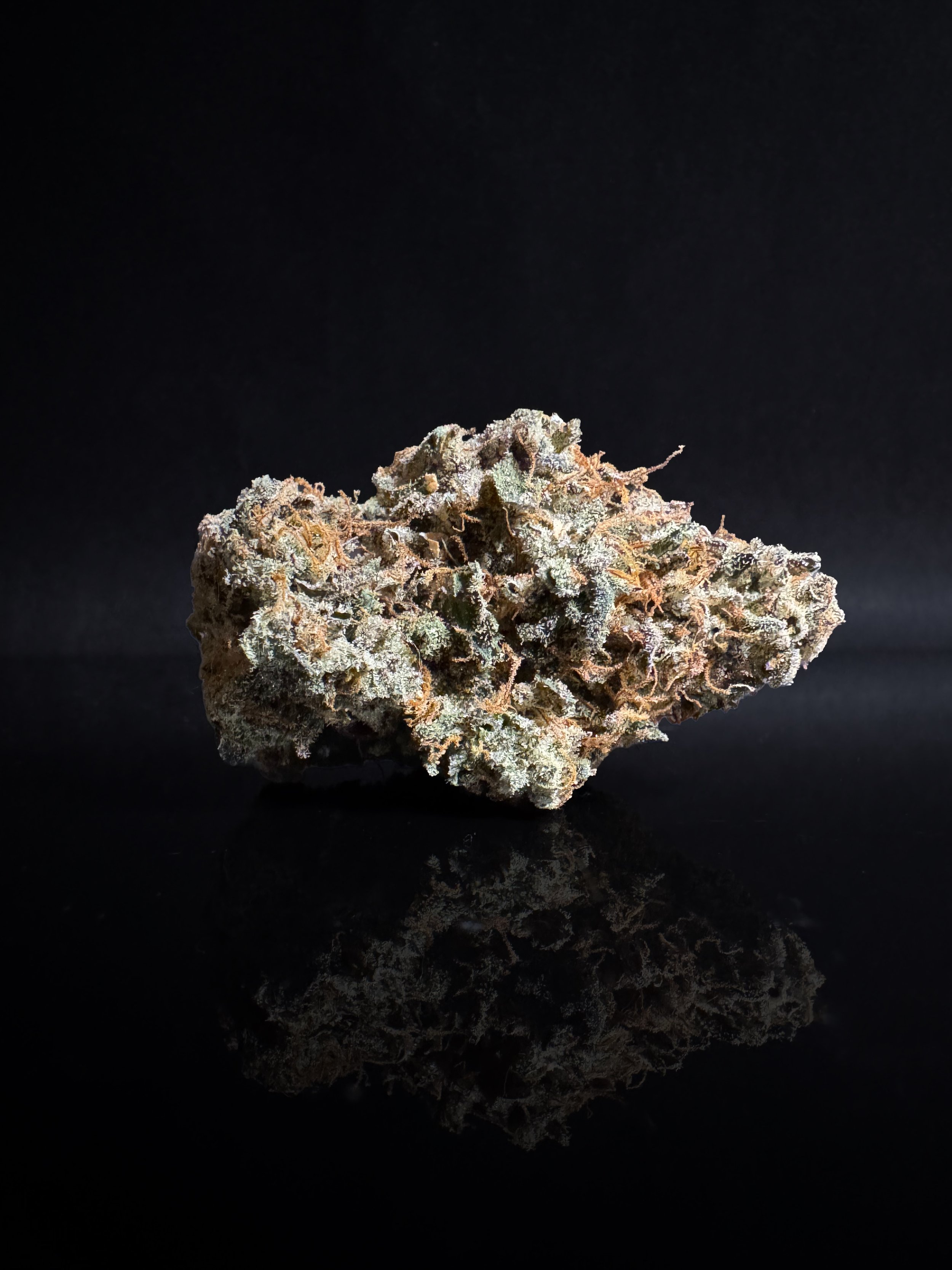 Pioneer Piff - Funk House Farm