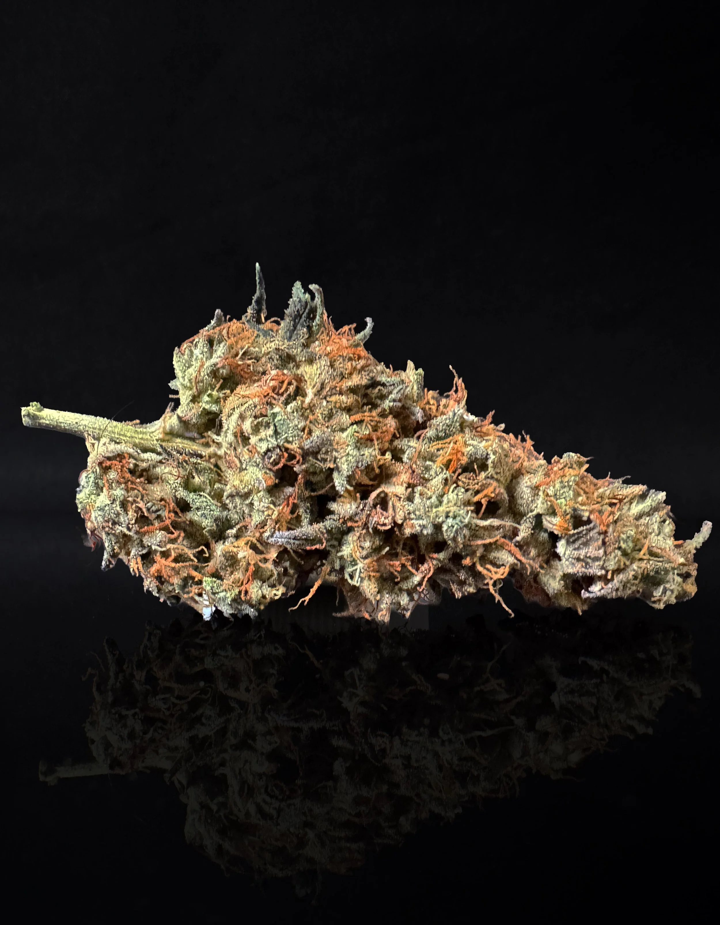 GMO - Alchemy Studios DC