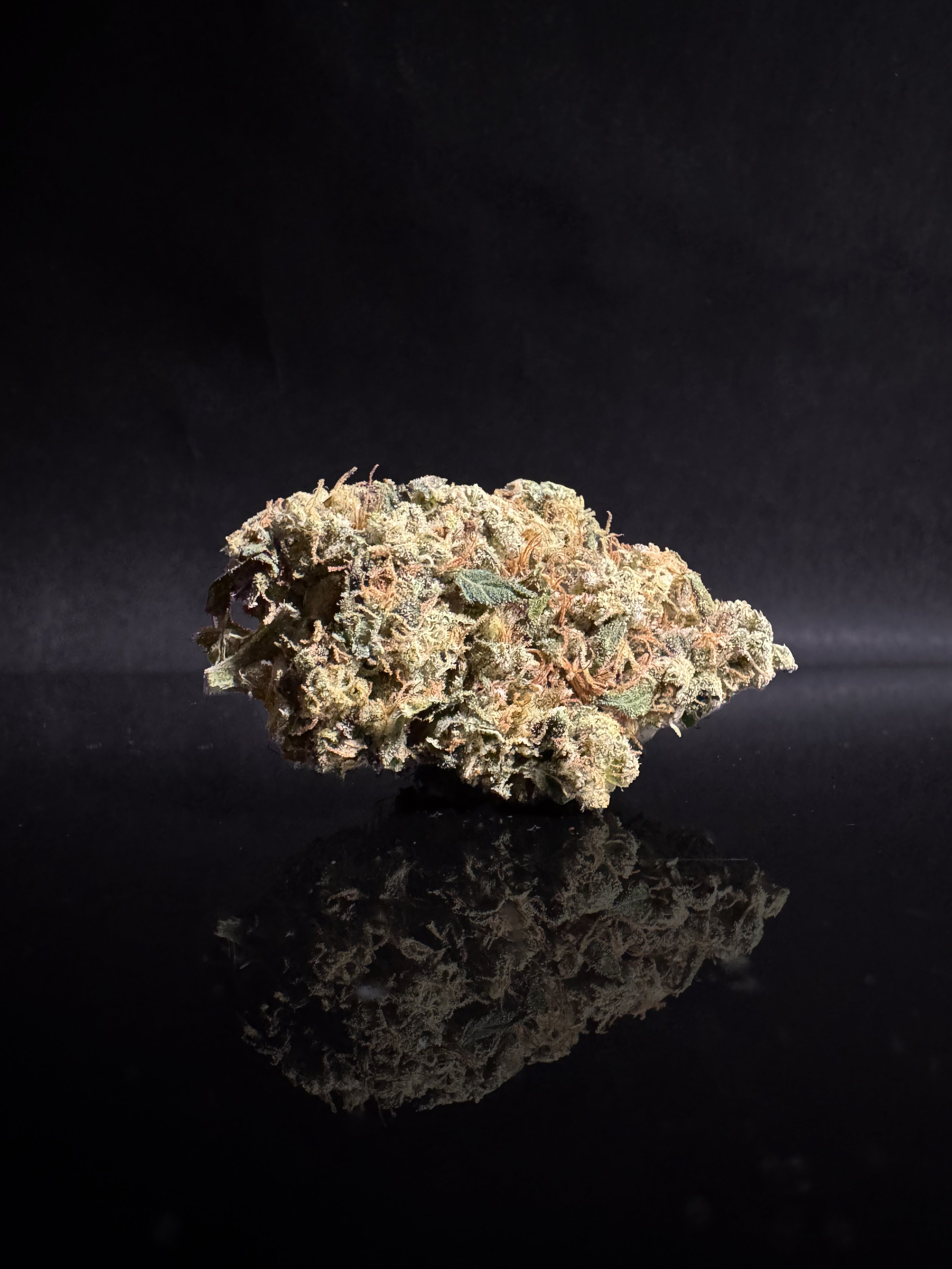 Chem 91 x Skunkdog- Funk House Farm (Copy)